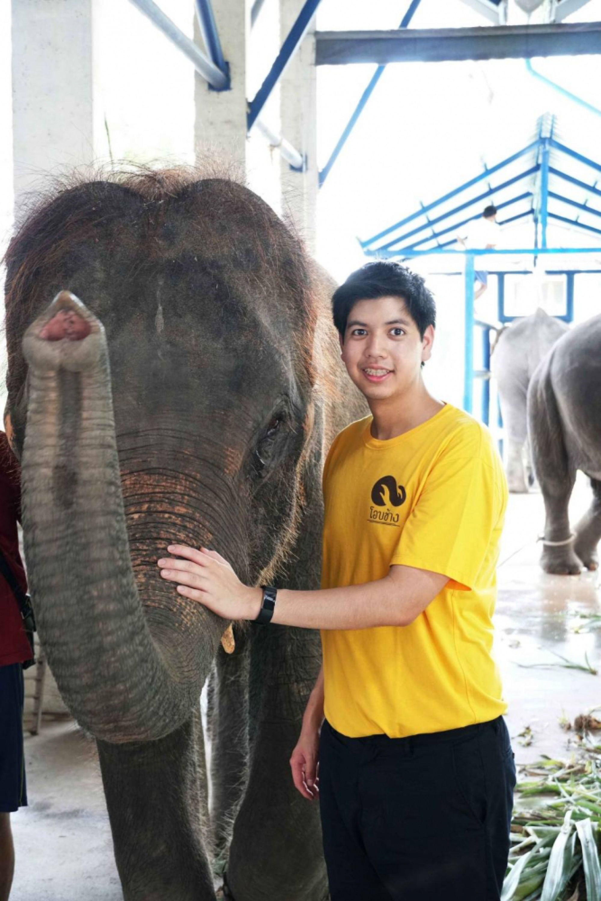 Gulf extends helping hand to Thai elephants hurting due to the Covid-19 pandemic