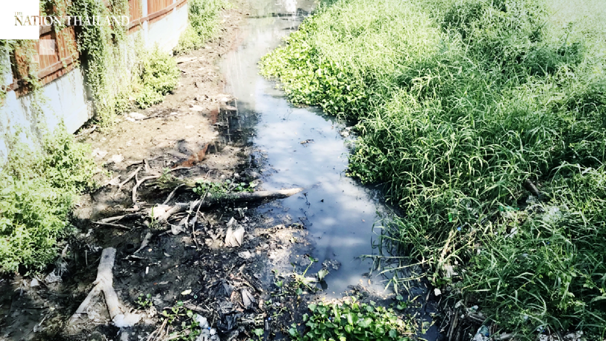This canal in Sukhumvit Soi 101, is polluted by waste discharged from households and businesses. If it were to be cleaned up, it could be a breeding ground for fish and shellfish. 