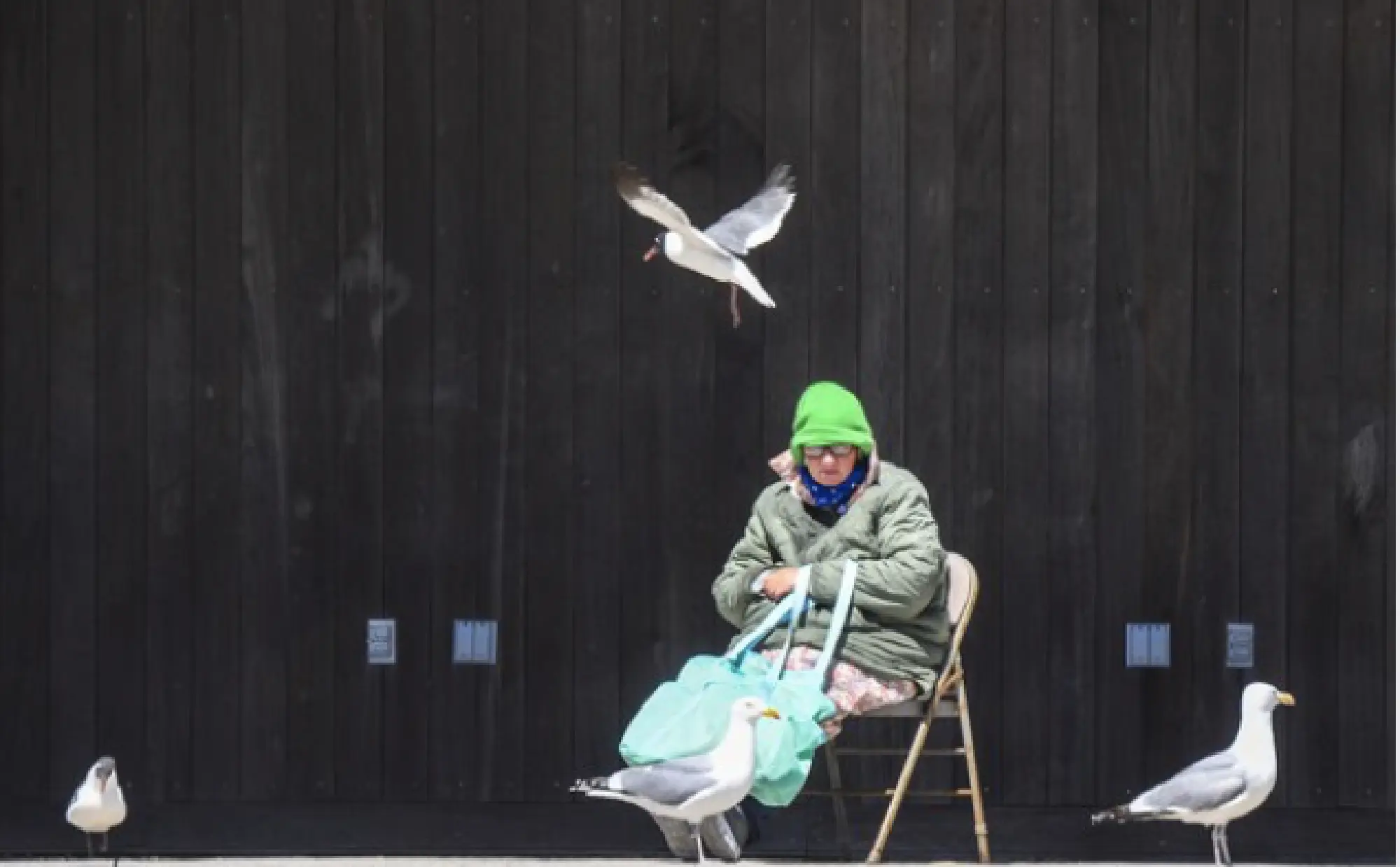 Annette Short finds a sunny spot to watch the seagulls fly around on the beach. MUST CREDIT: Washington Post photo by Jonathan Newton