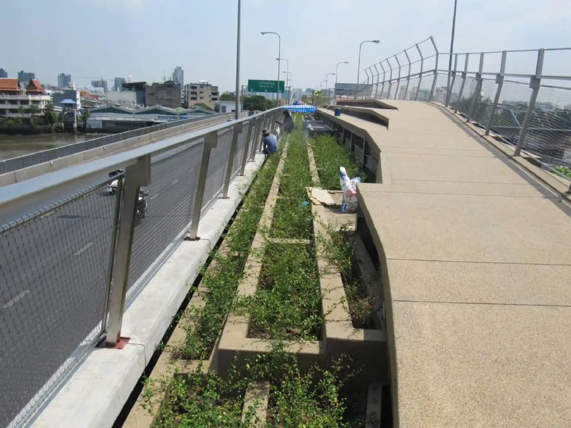 Park in Chao Phraya opening for public in June