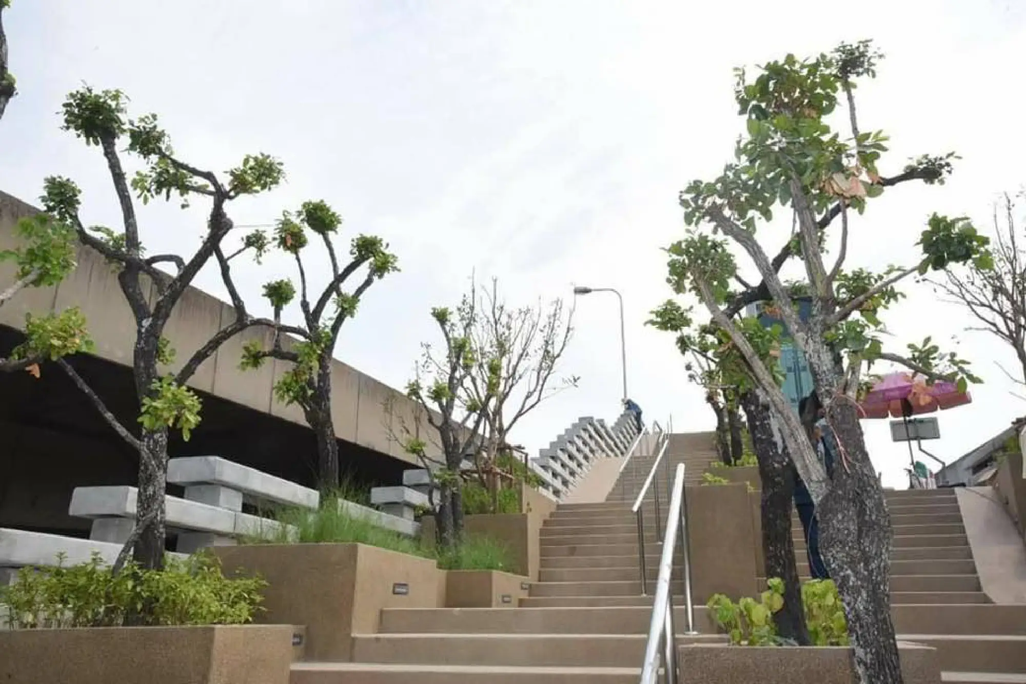 Park in Chao Phraya opening for public in June