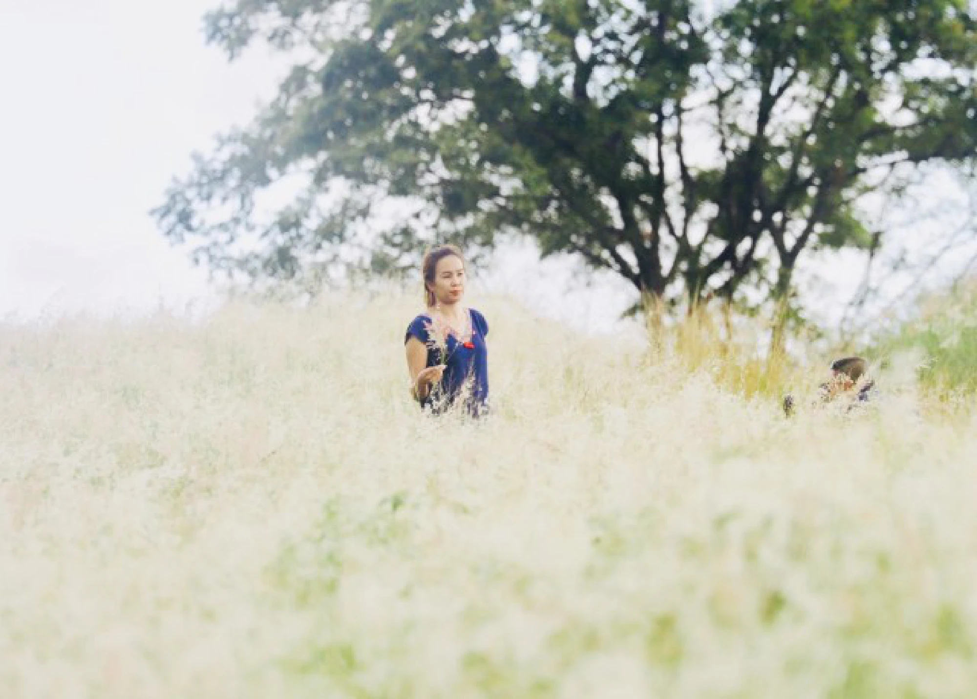 Wang Nam Kheow hills covered in bright blooms
