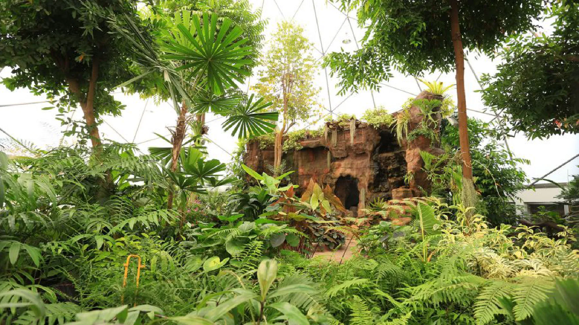 Royal Park Rajapruek reopens its doors to visitors