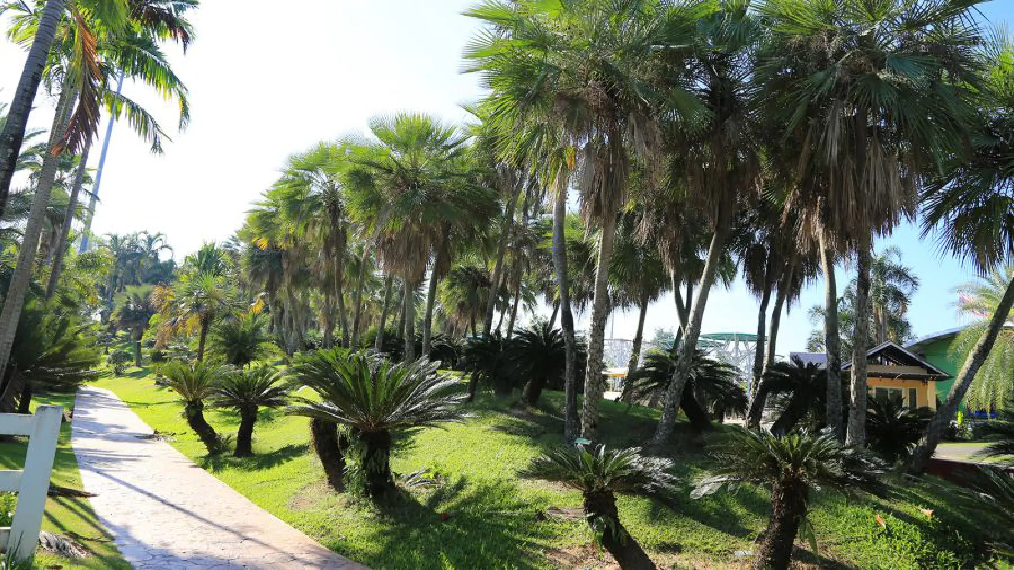 Royal Park Rajapruek reopens its doors to visitors