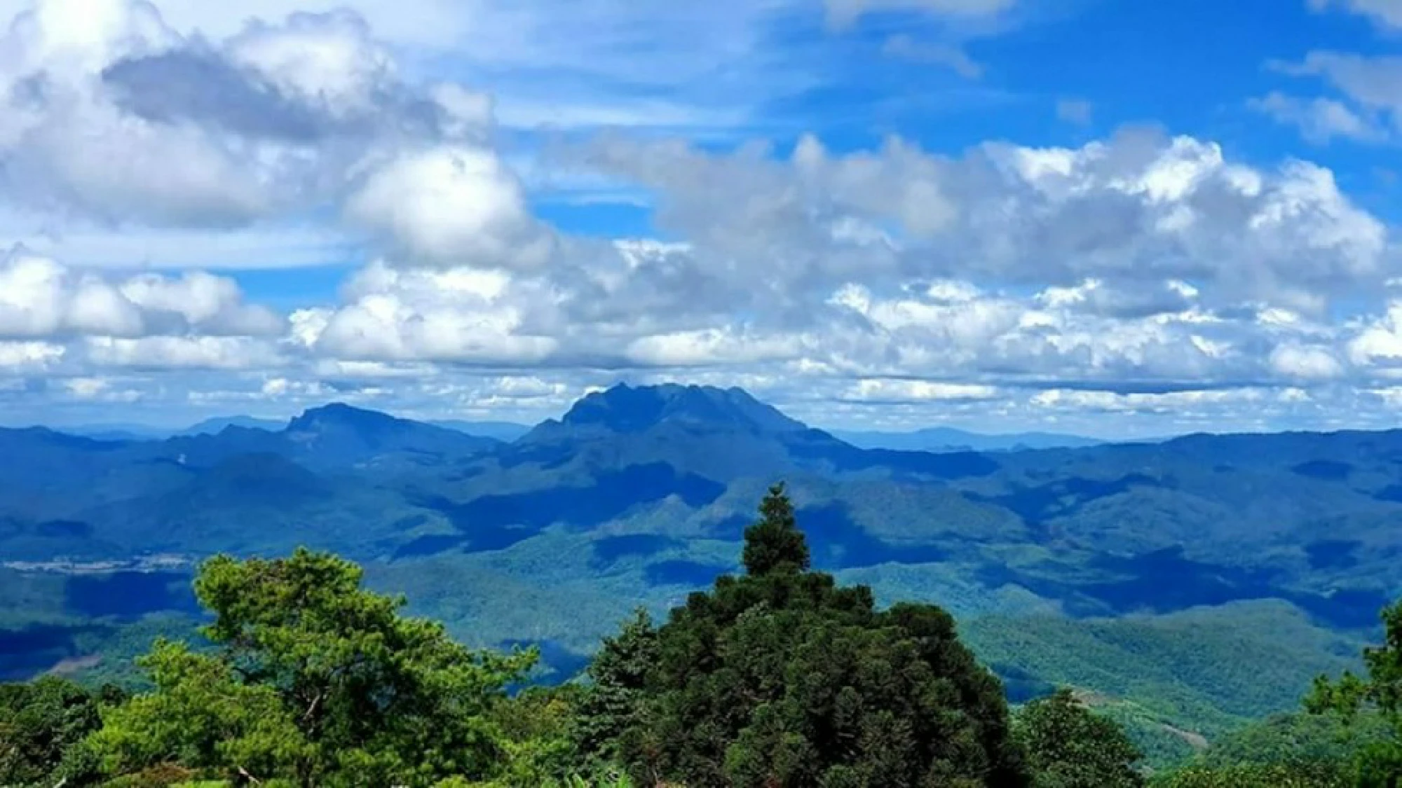 Wildlife flourishes as humans kept away due to lockdown