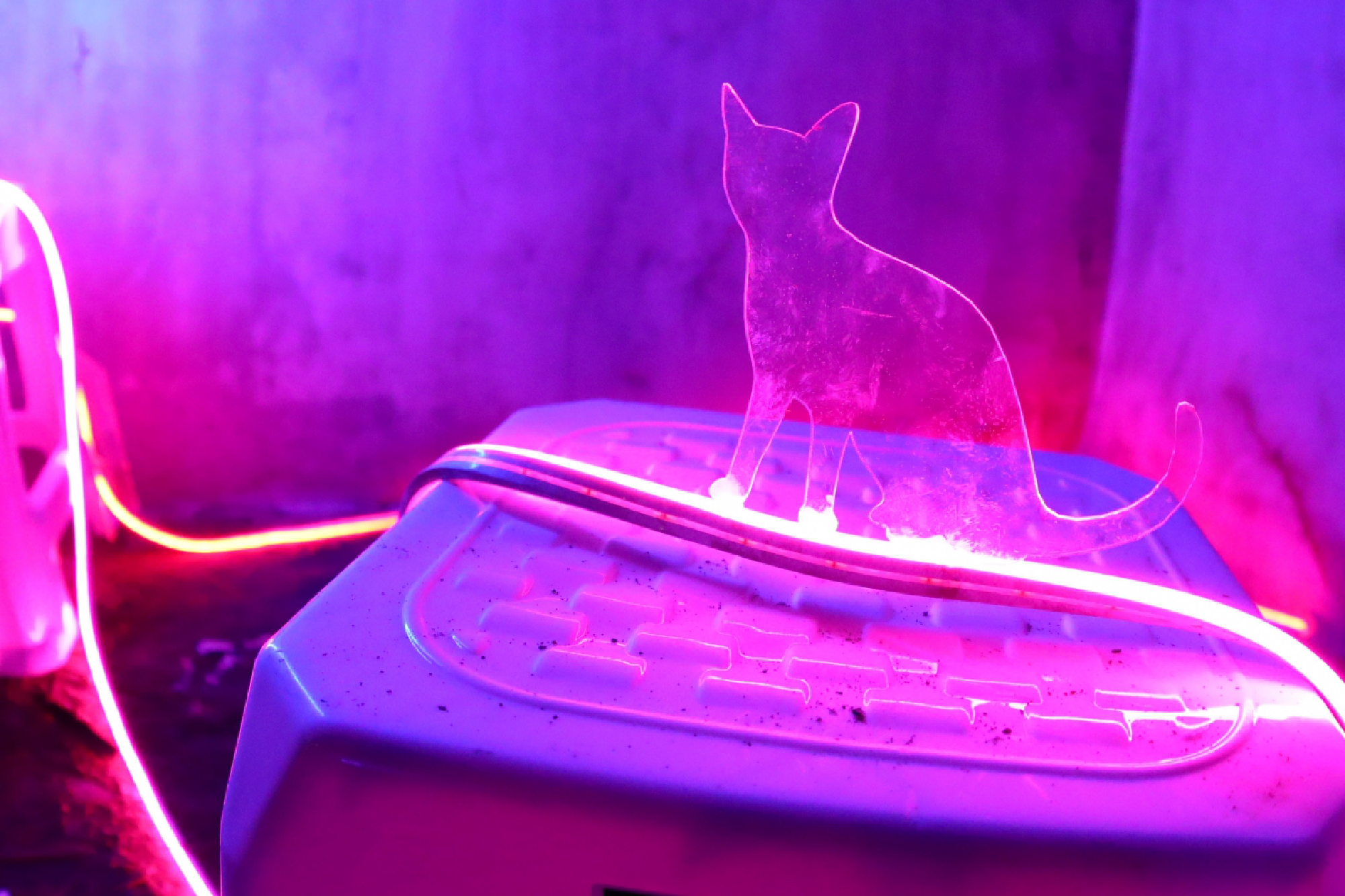 Exhibition revives old memories of New World