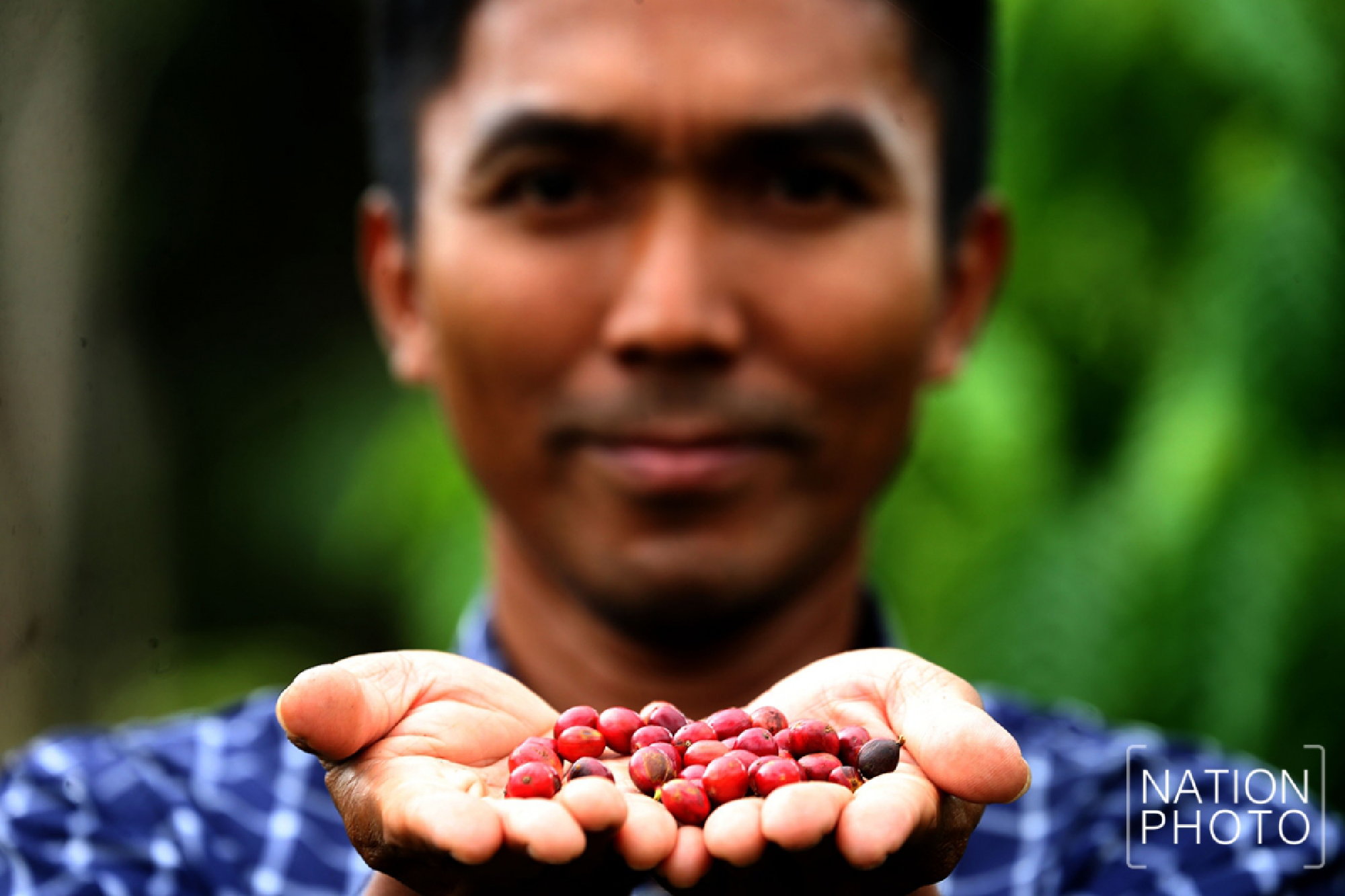 Brewing happiness in Songkhla’s Saba Yoi district