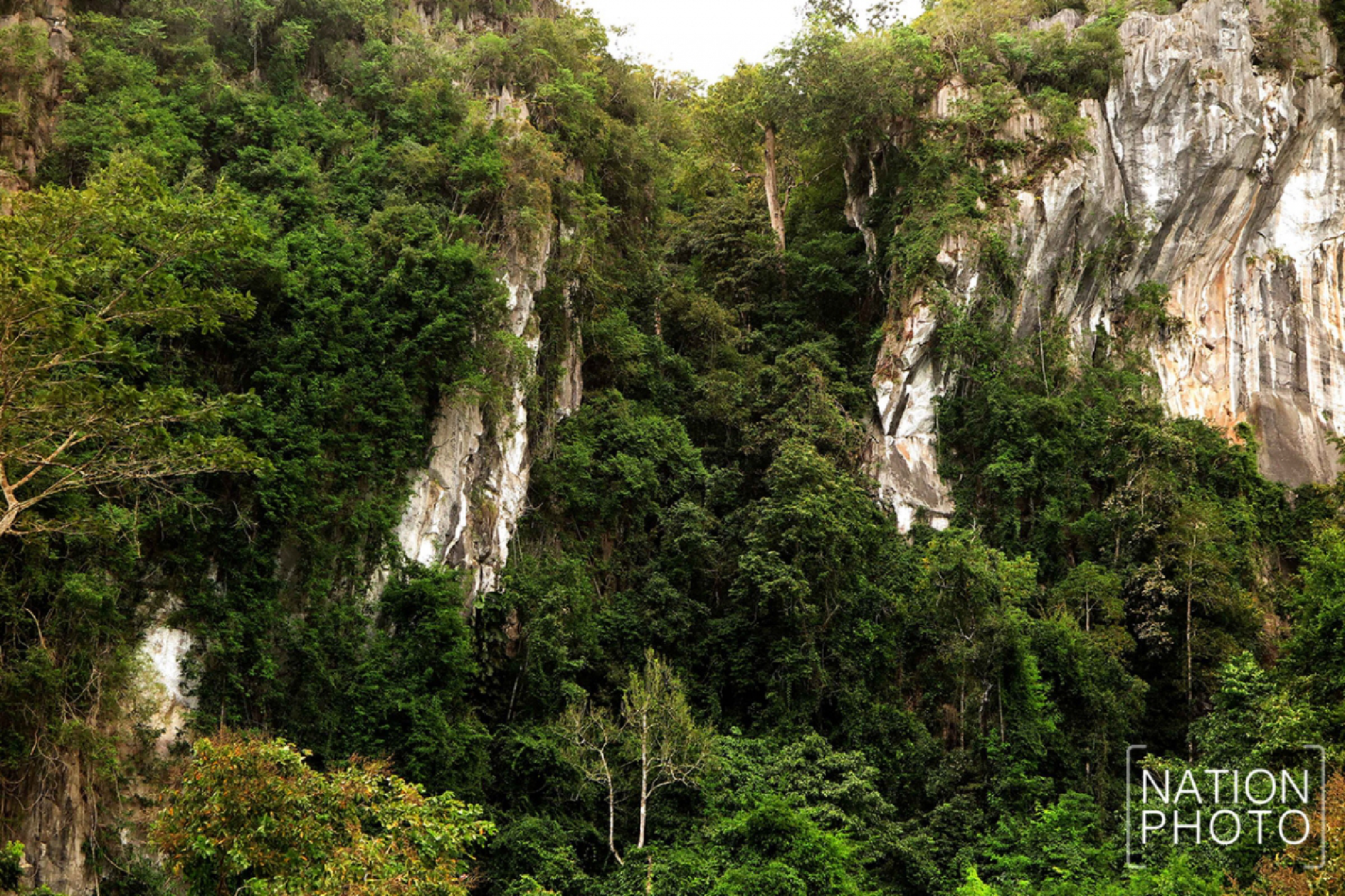 Brewing happiness in Songkhla’s Saba Yoi district