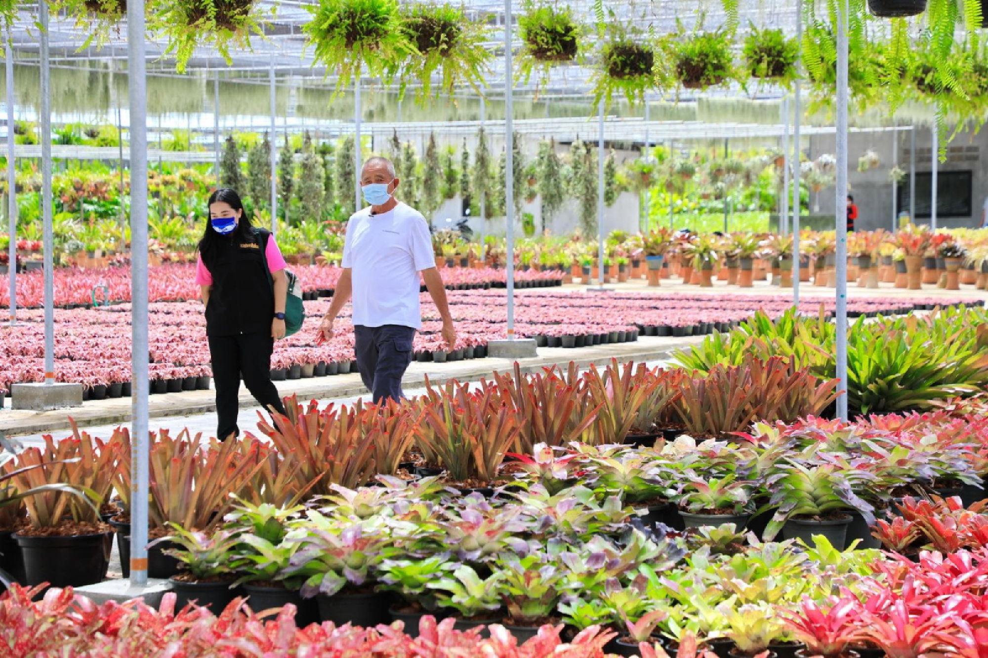 Pattaya’s Nong Nooch Garden offers free admission to visitors from six provinces