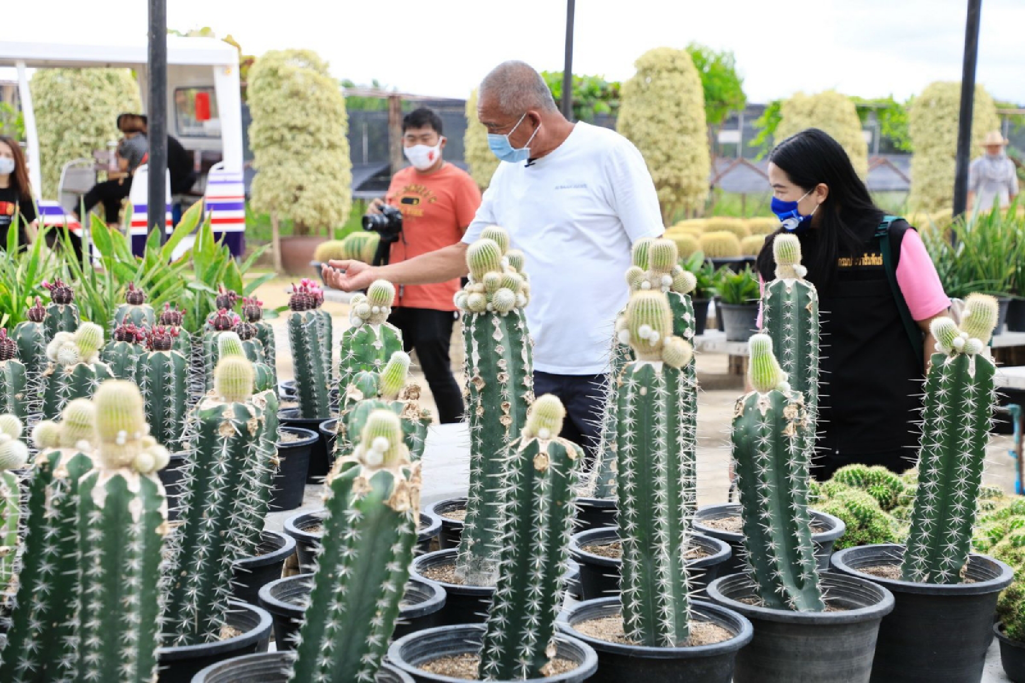 Pattaya’s Nong Nooch Garden offers free admission to visitors from six provinces