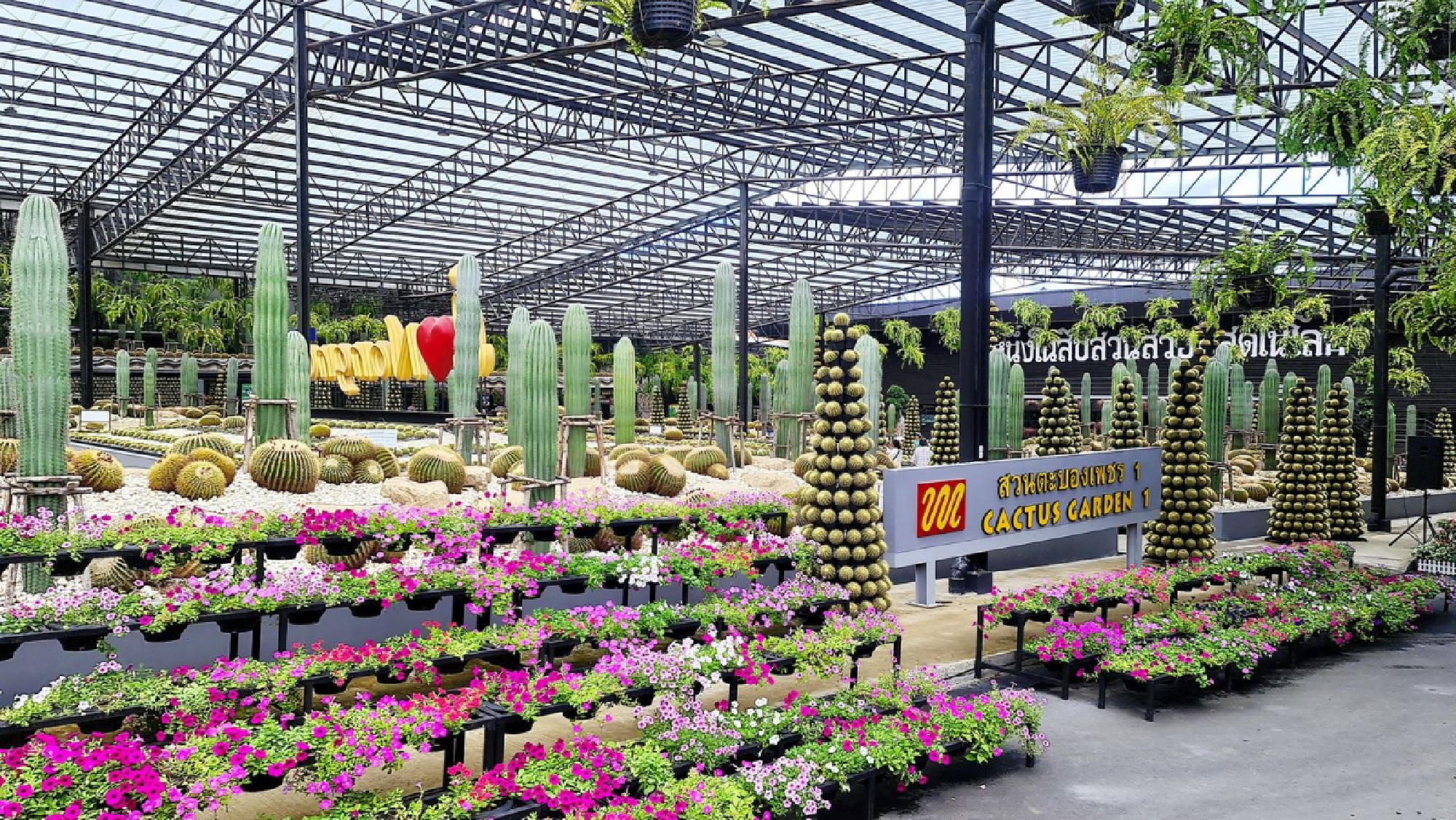 Pattaya’s Nong Nooch Garden offers free admission to visitors from six provinces