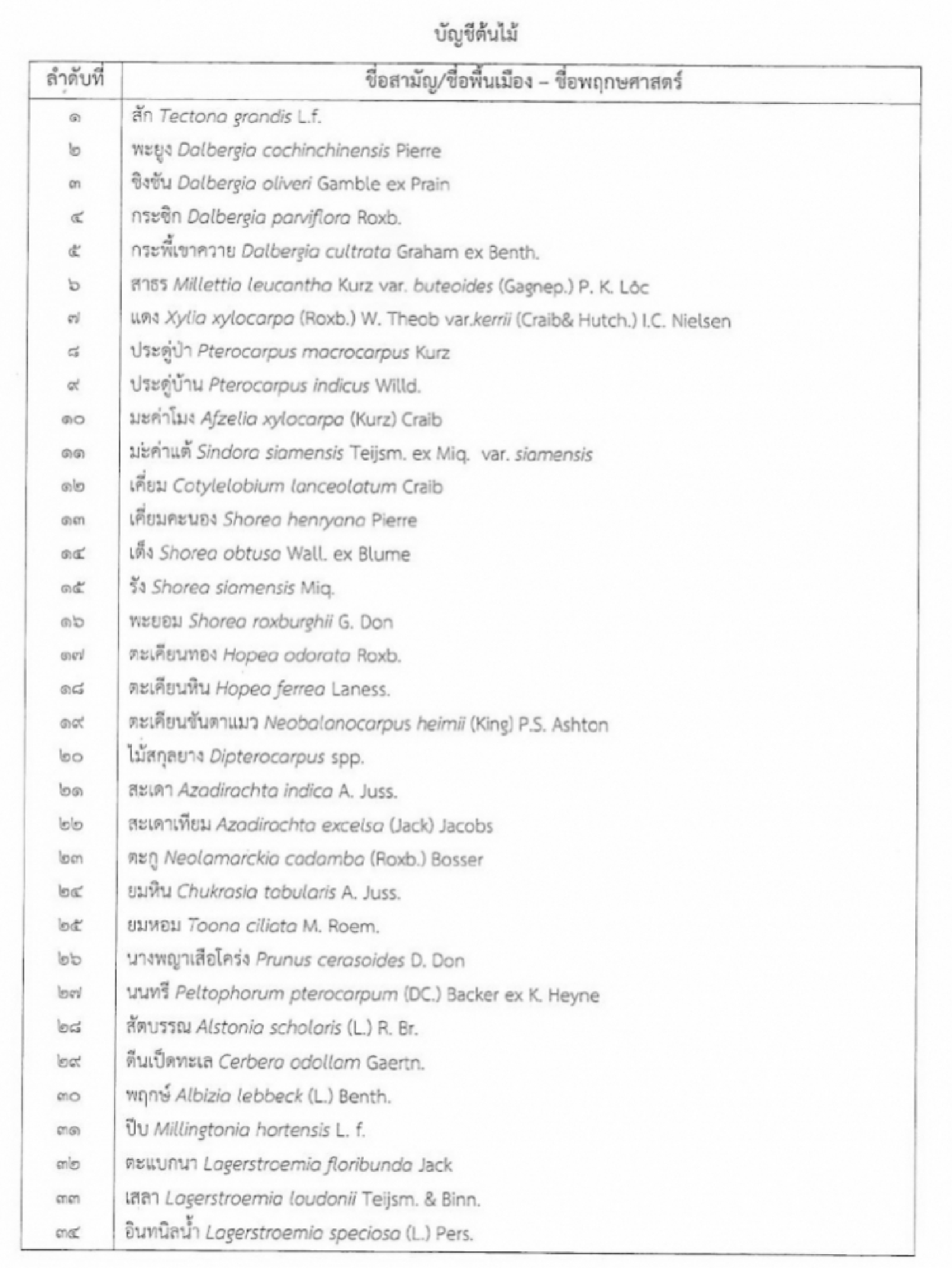 Government to allow the use of trees as collateral for loans