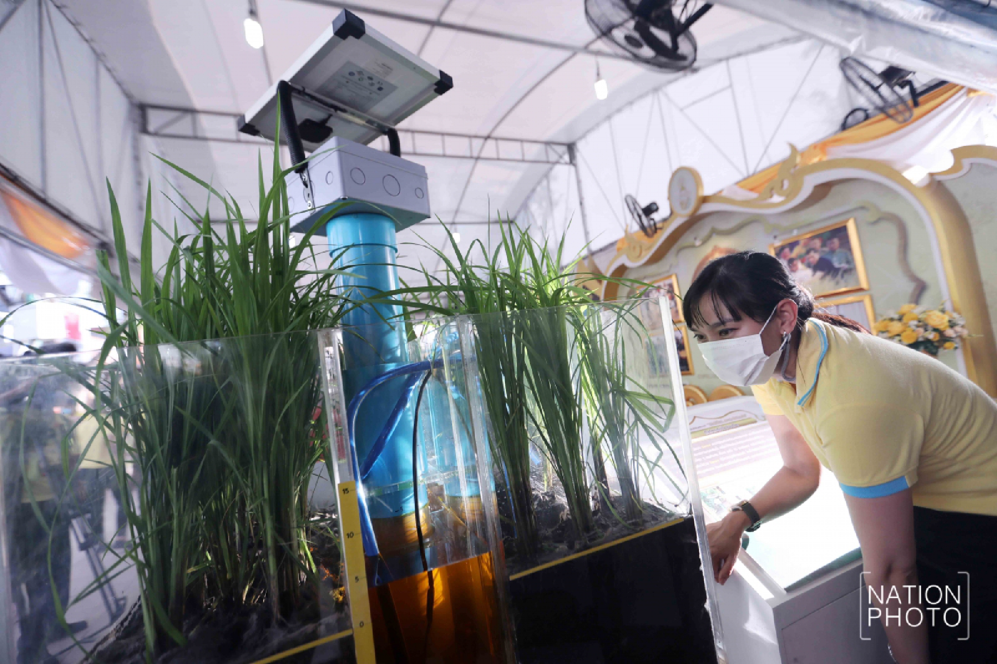 Four-day exhibition at Sanam Luang to mark King's birthday