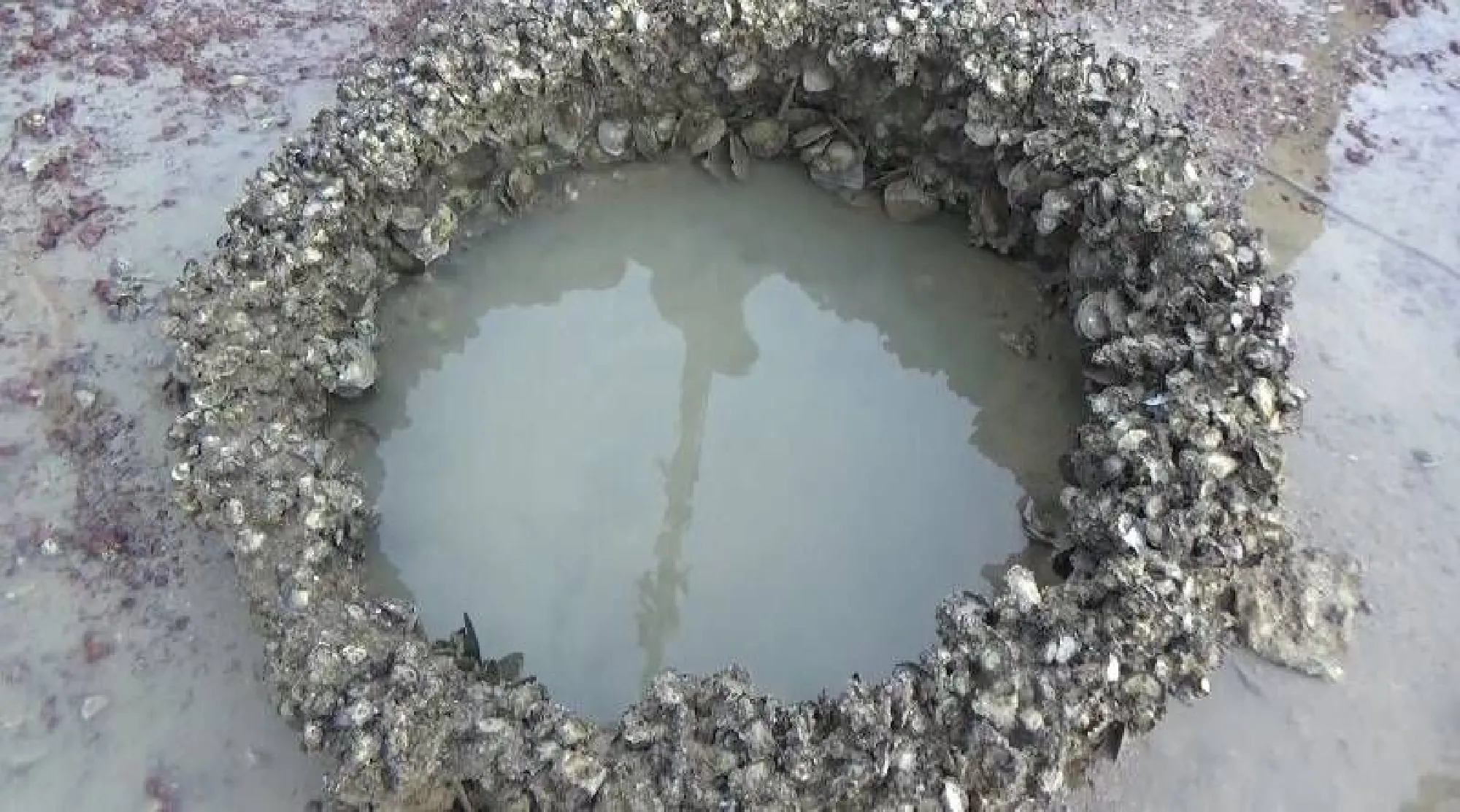 Freshwater well in receding seawater a tourist attraction in Trang