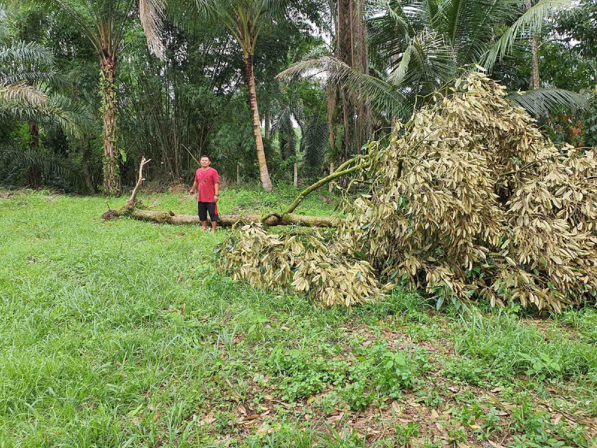 Sunday storm wreaks havoc in Chumphon