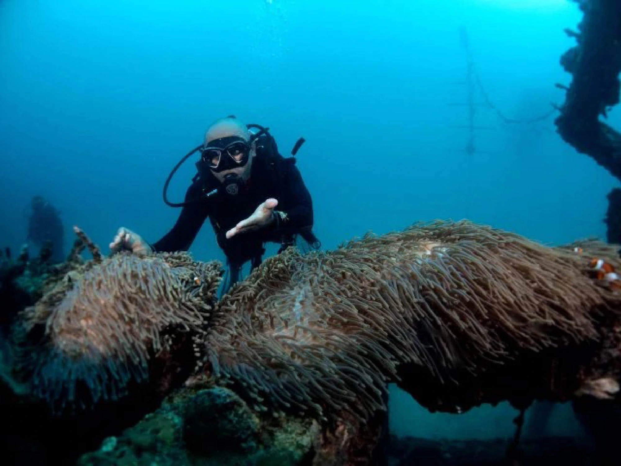 Krabi's marine beauty blossoms in undisturbed environs