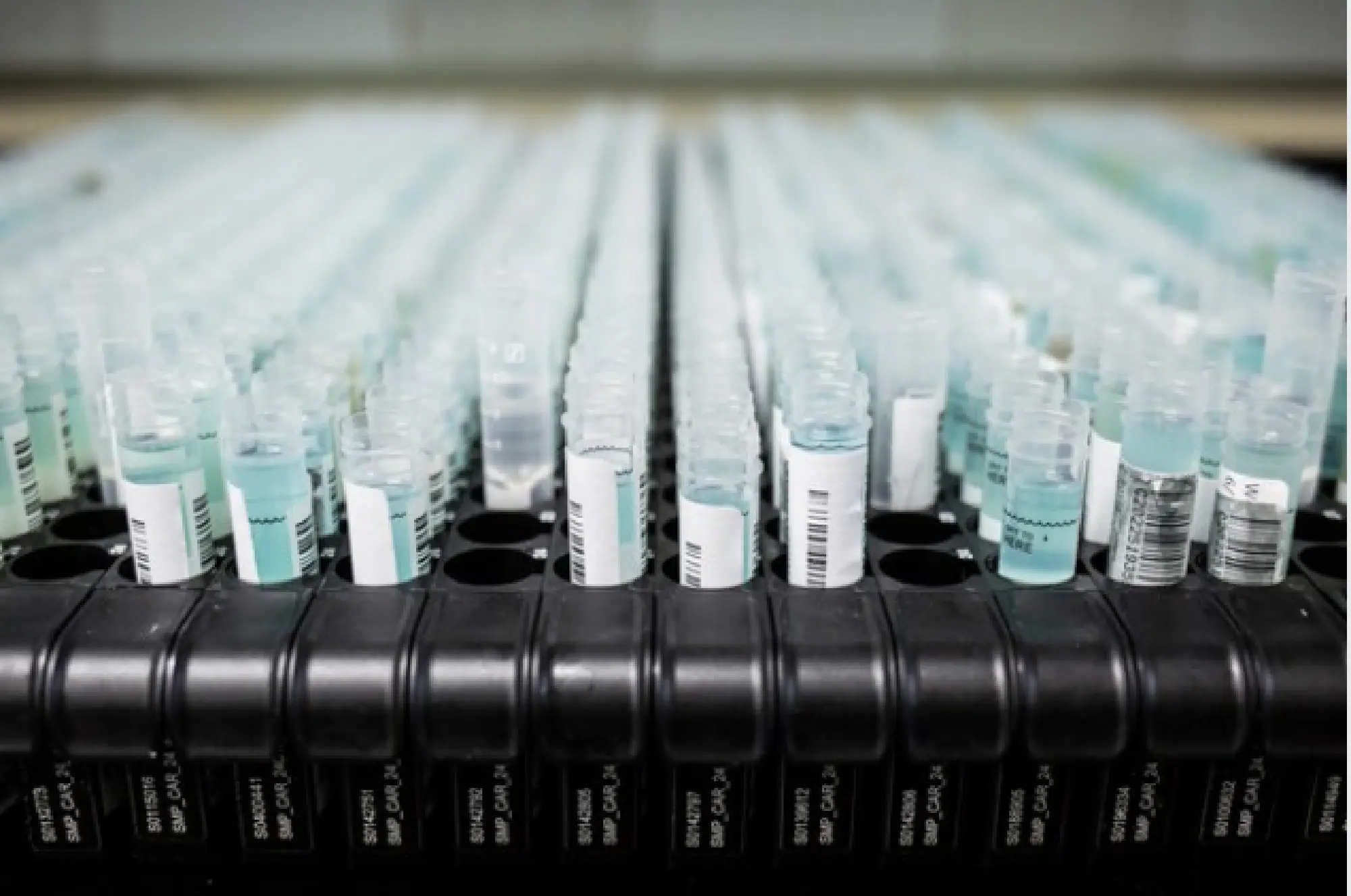 Saliva tests are prepared for processing at the Waksman Institute in Piscataway., N.J. CREDIT: photo for The Washington Post by Bryan Anselm.