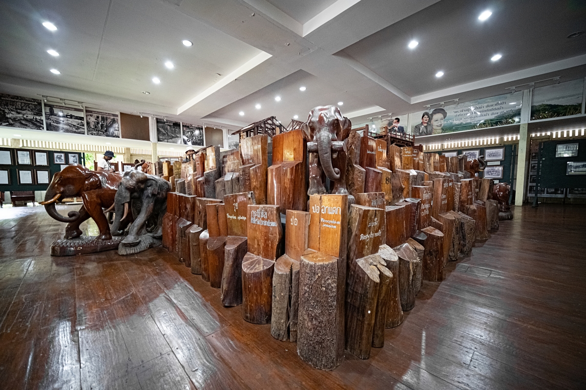 State and Civil Forest Protection Institute, Teak Museum