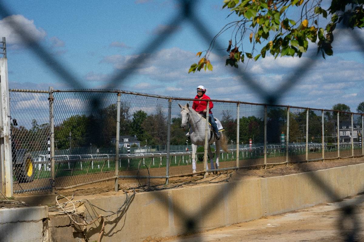 A horse makes its way around the Pimlico track. MUST CREDIT: Washington Post photo by Sarah L. Voisin.