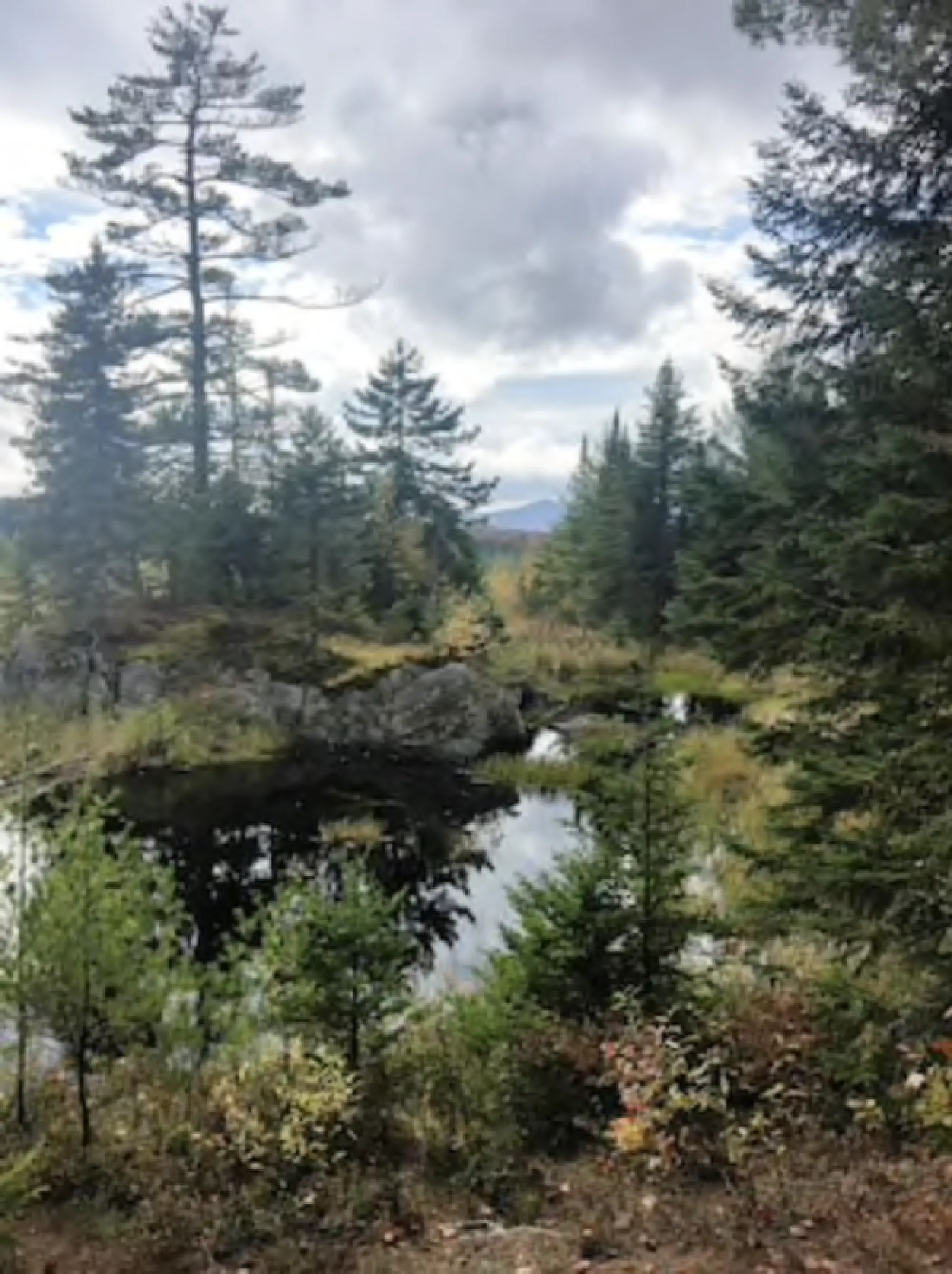 A hike at Paul Smith's Visitor Information Center in the Adirondacks. travel-adirondacks, MUST CREDIT: Photo for The Washington Post by Debra Bruno