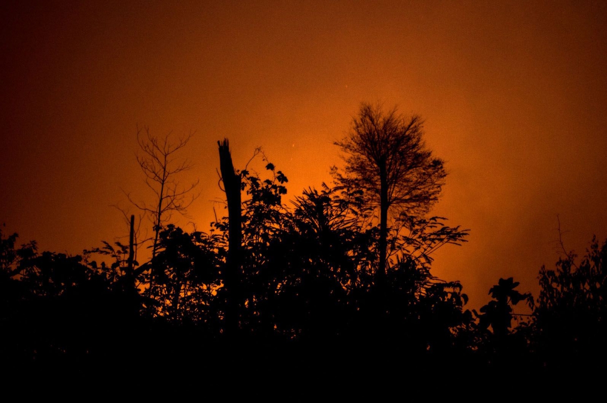 Fire burns in the Amazon rainforest in Porto Velho, Rondonia state, Brazil, on Aug. 24, 2019. MUST CREDIT: Bloomberg photo by Leonardo Carrato