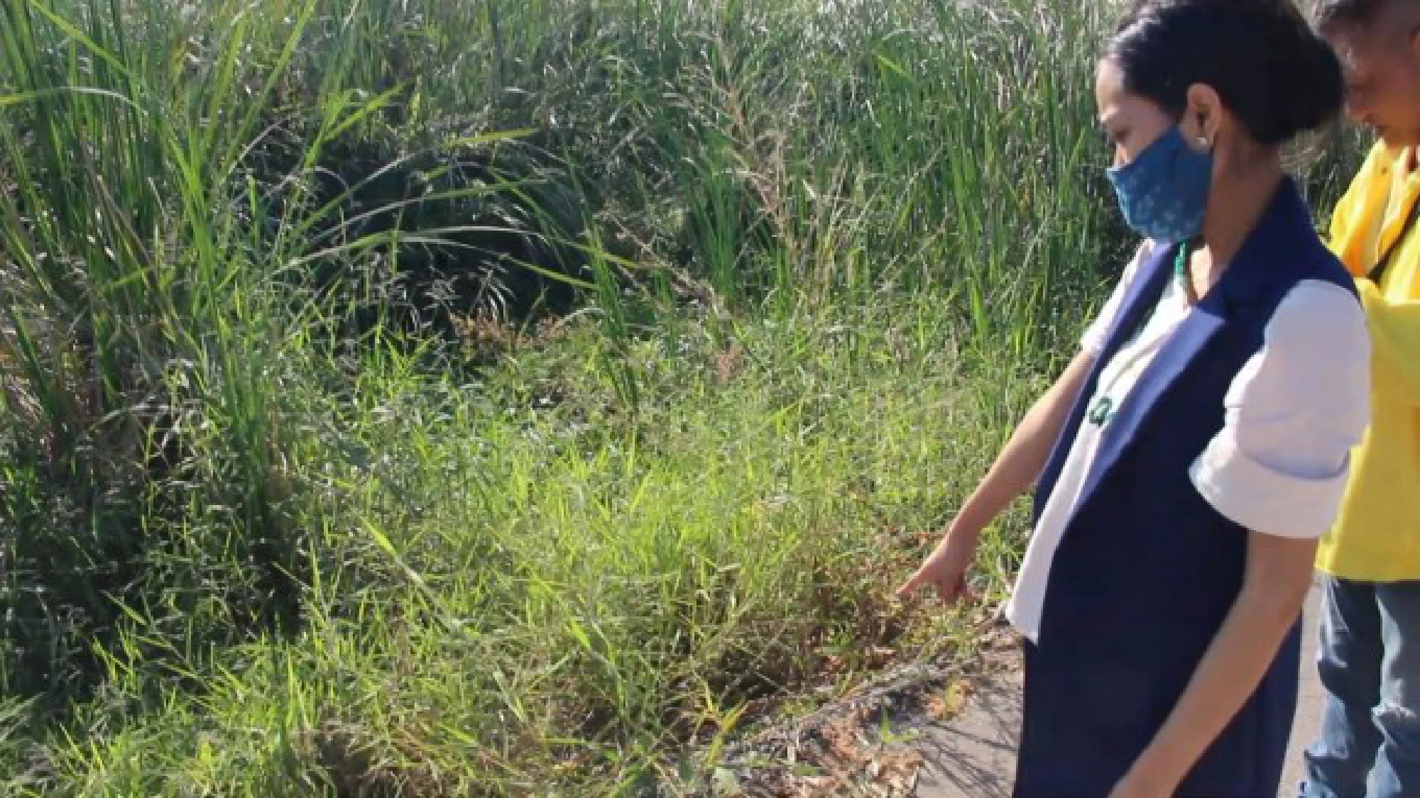 Police hunt for woman who abandoned newborn infant on Udon Thani road