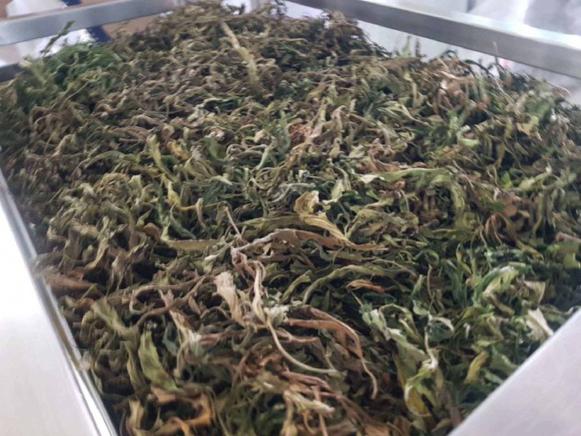 Ministry allows use of some parts of hemp, cannabis plants, but recreational use still banned