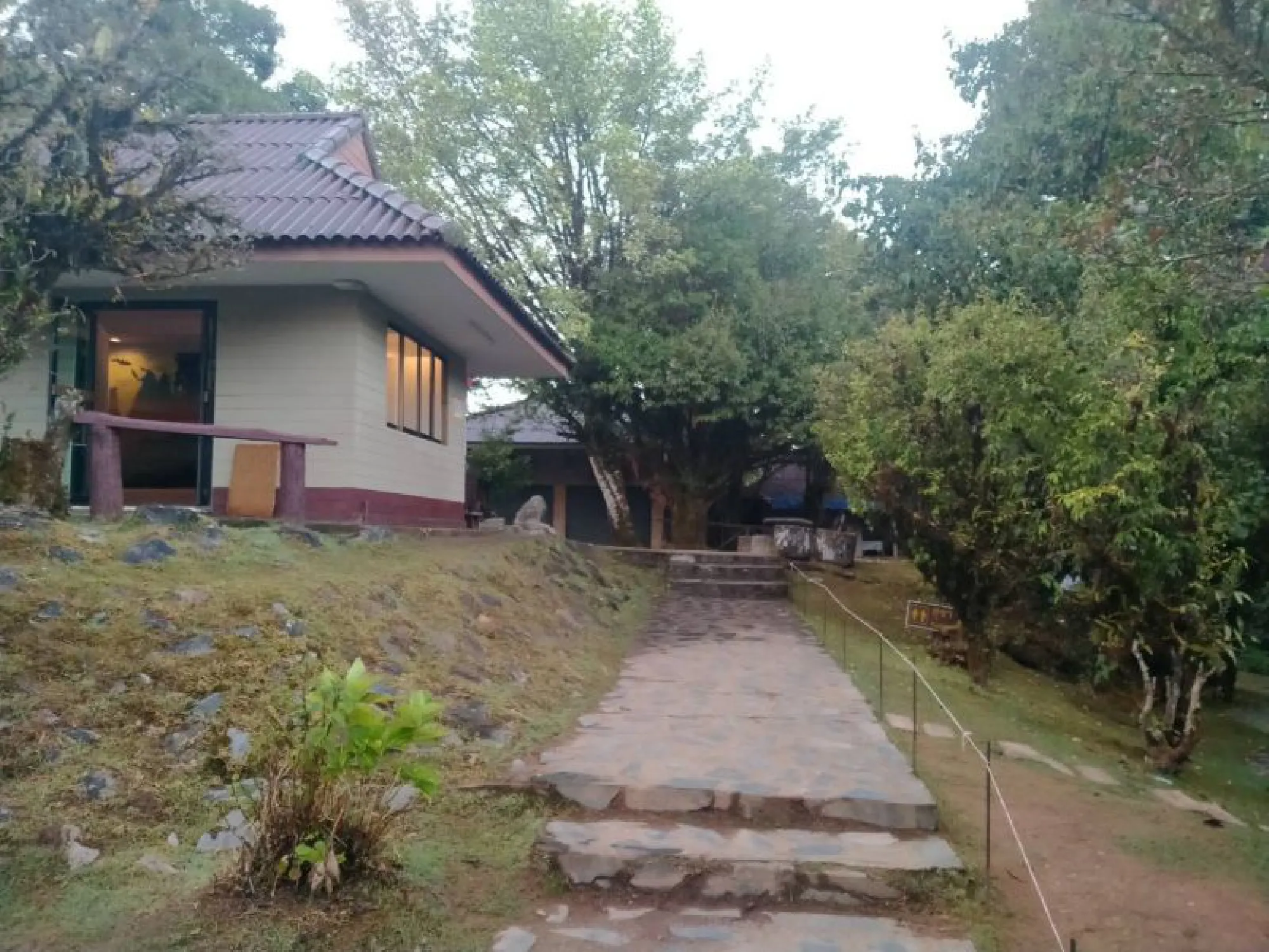 Lonely at the top on Doi Inthanon