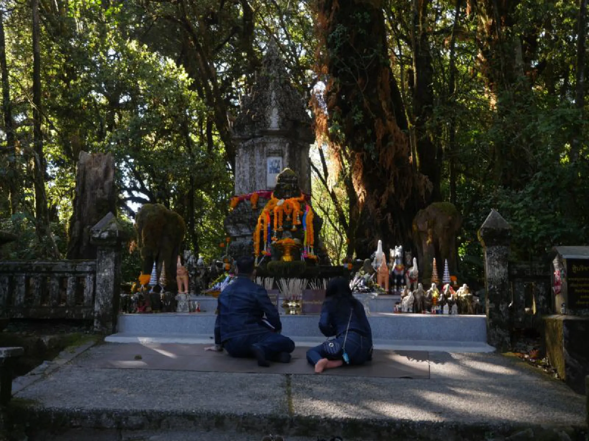 Lonely at the top on Doi Inthanon