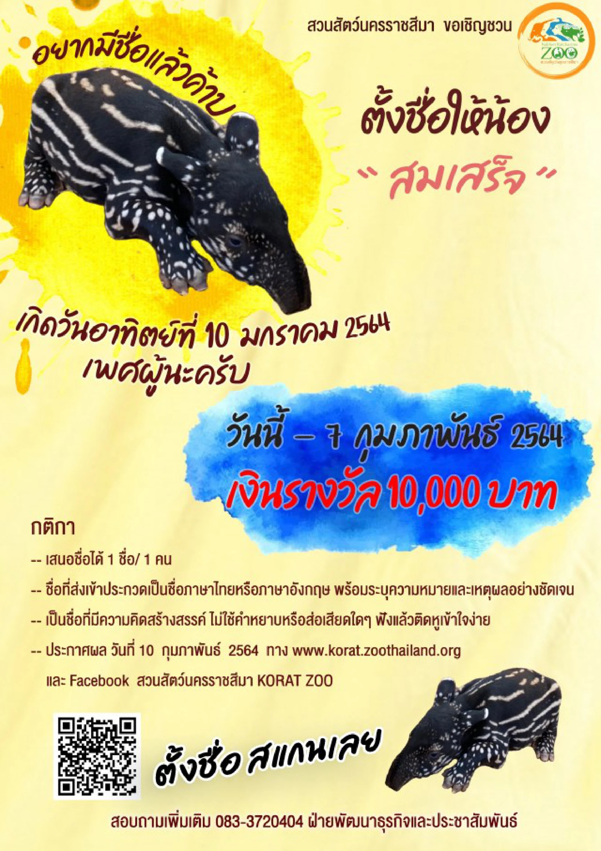 Pick a name for a newborn tapir and you could win Bt10,000