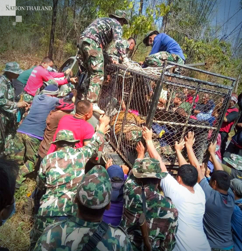 Photo Credit: Department of National Parks, Wildlife and Plant Conservation