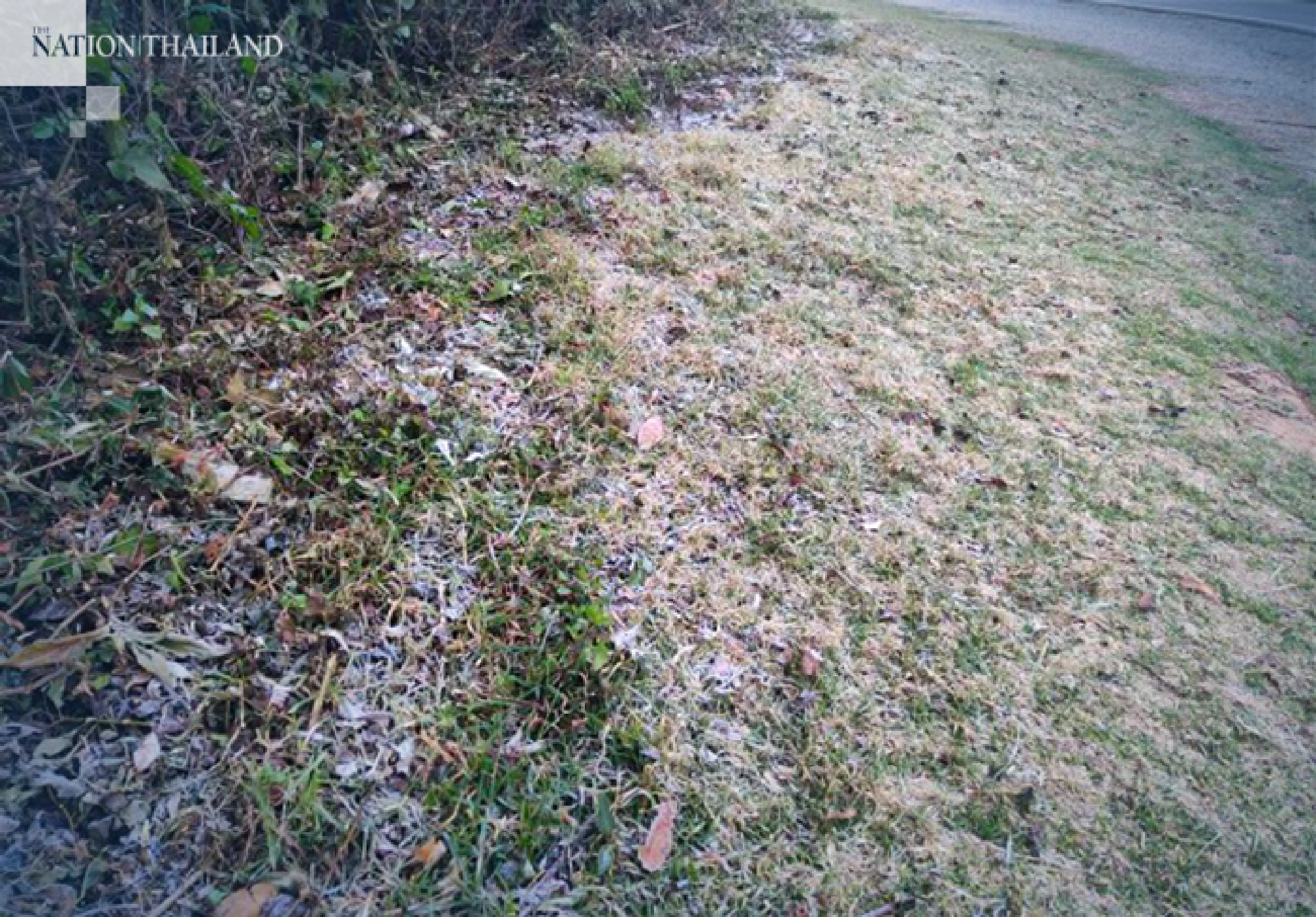 Celebrating Valentine's Day on Doi Inthanon