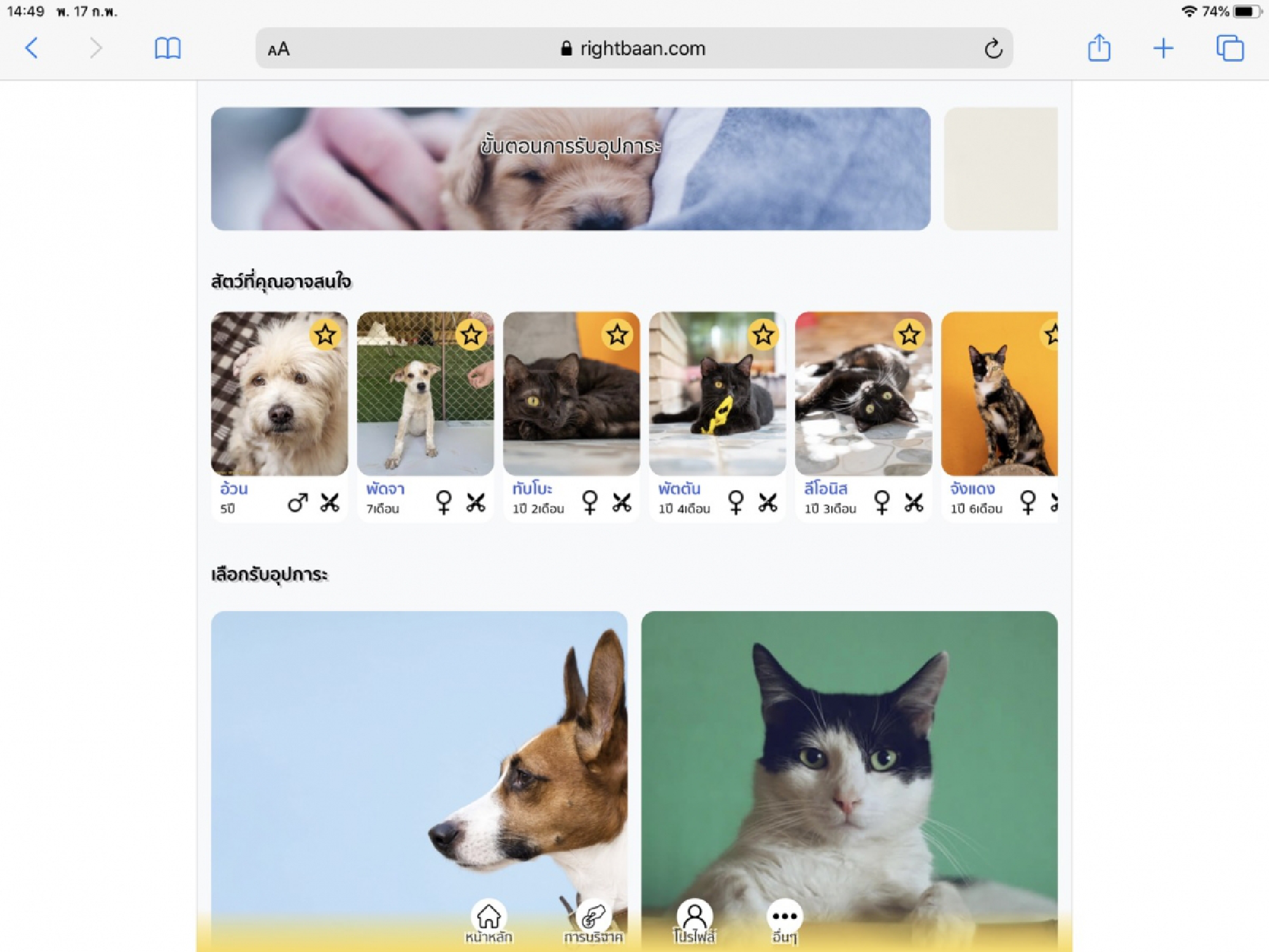 Chula students create website to match homeless animals with potential owners 