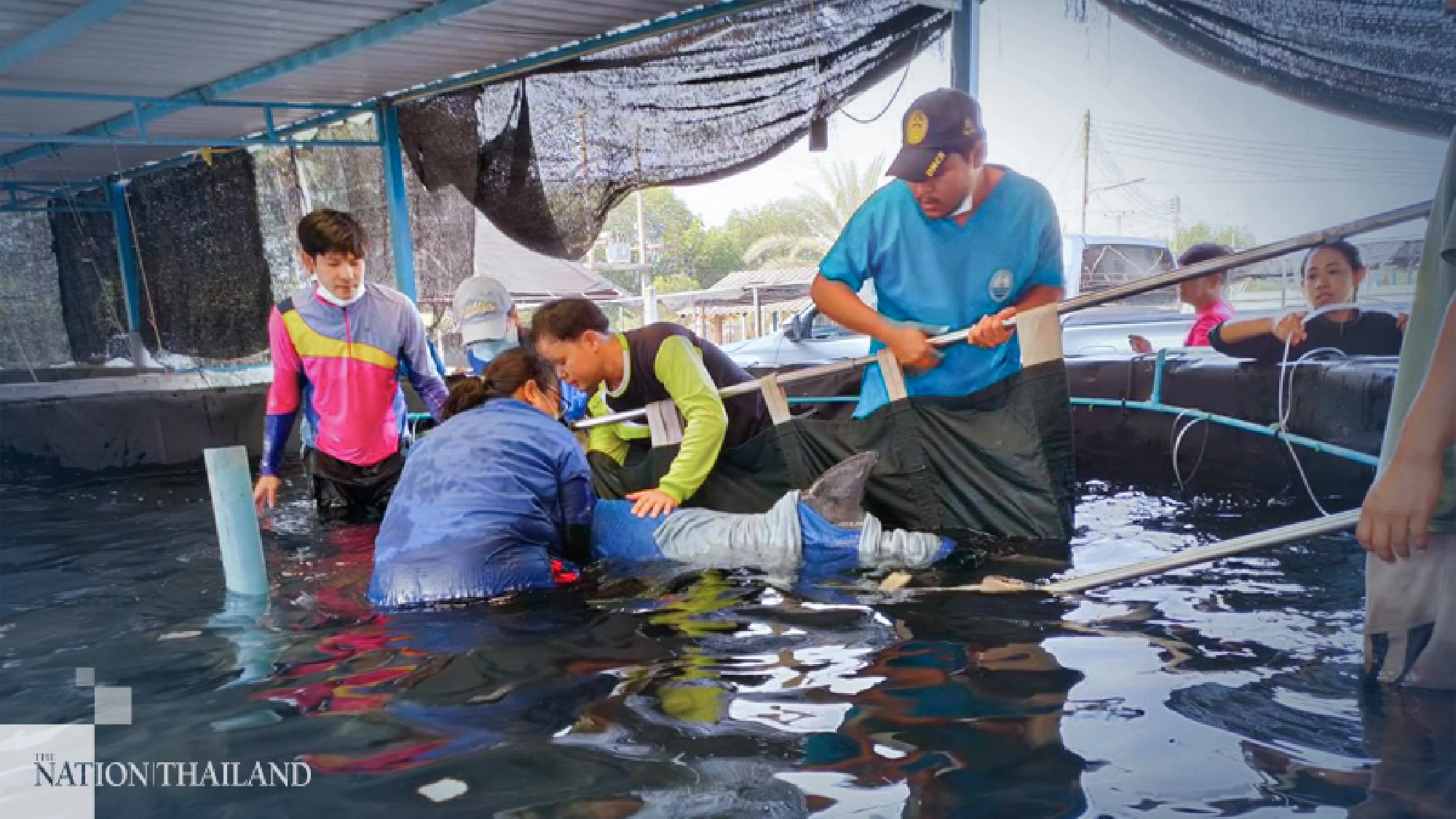 Photo credit: Department of Marine and Coastal Resources 