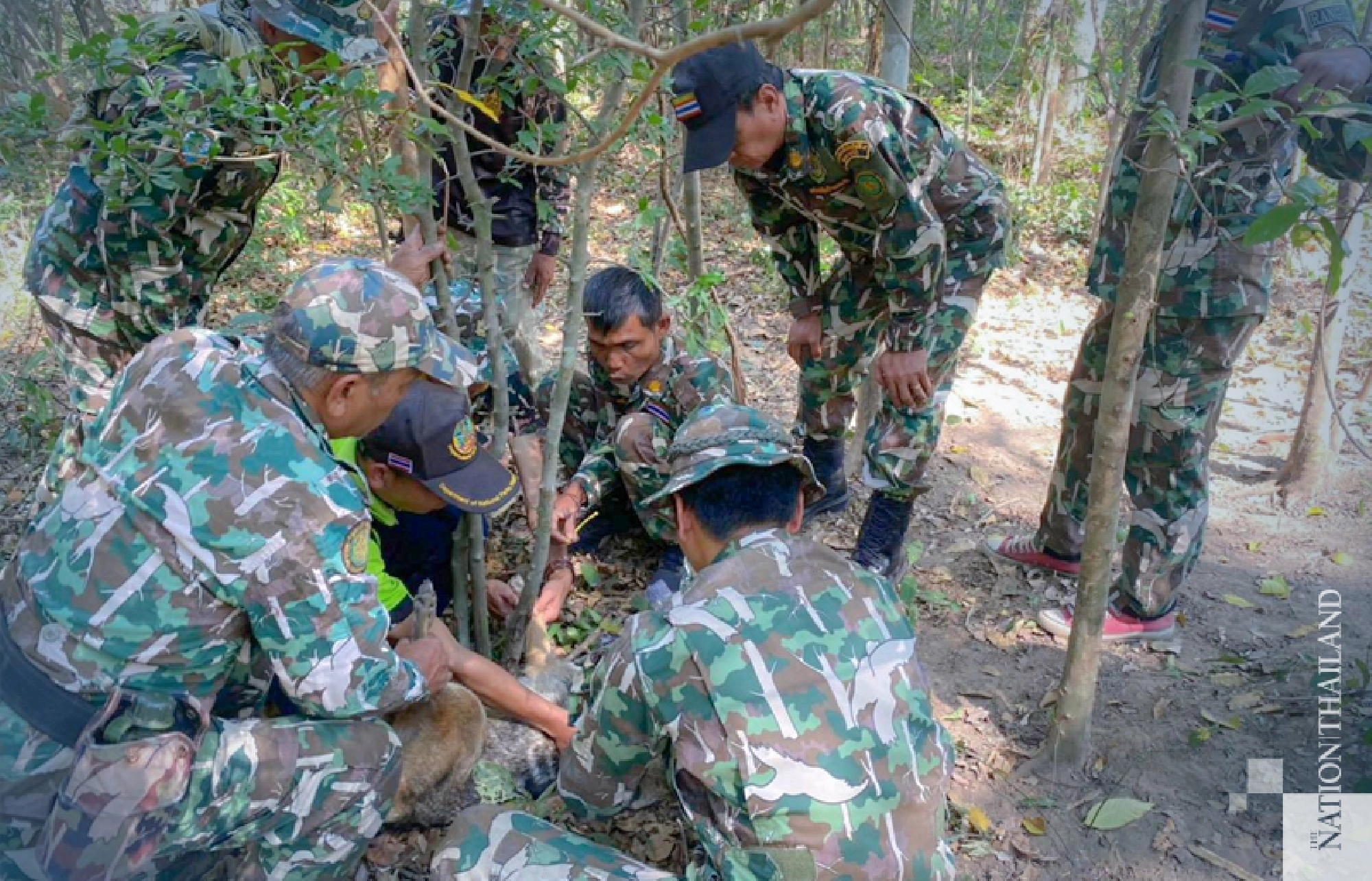 Photo credit: Department of National Parks, Wildlife and Plant Conservation