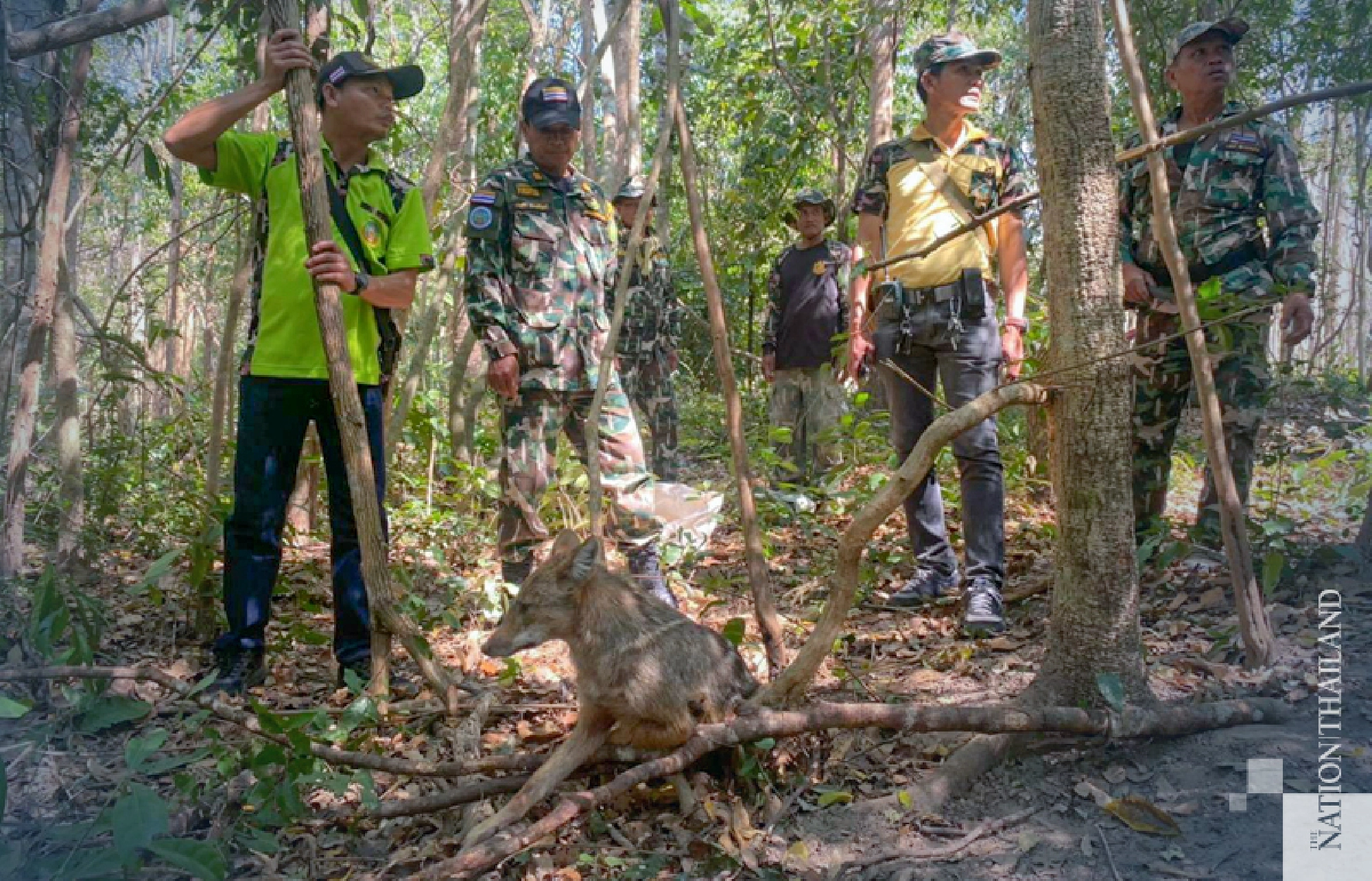 Photo credit: Department of National Parks, Wildlife and Plant Conservation