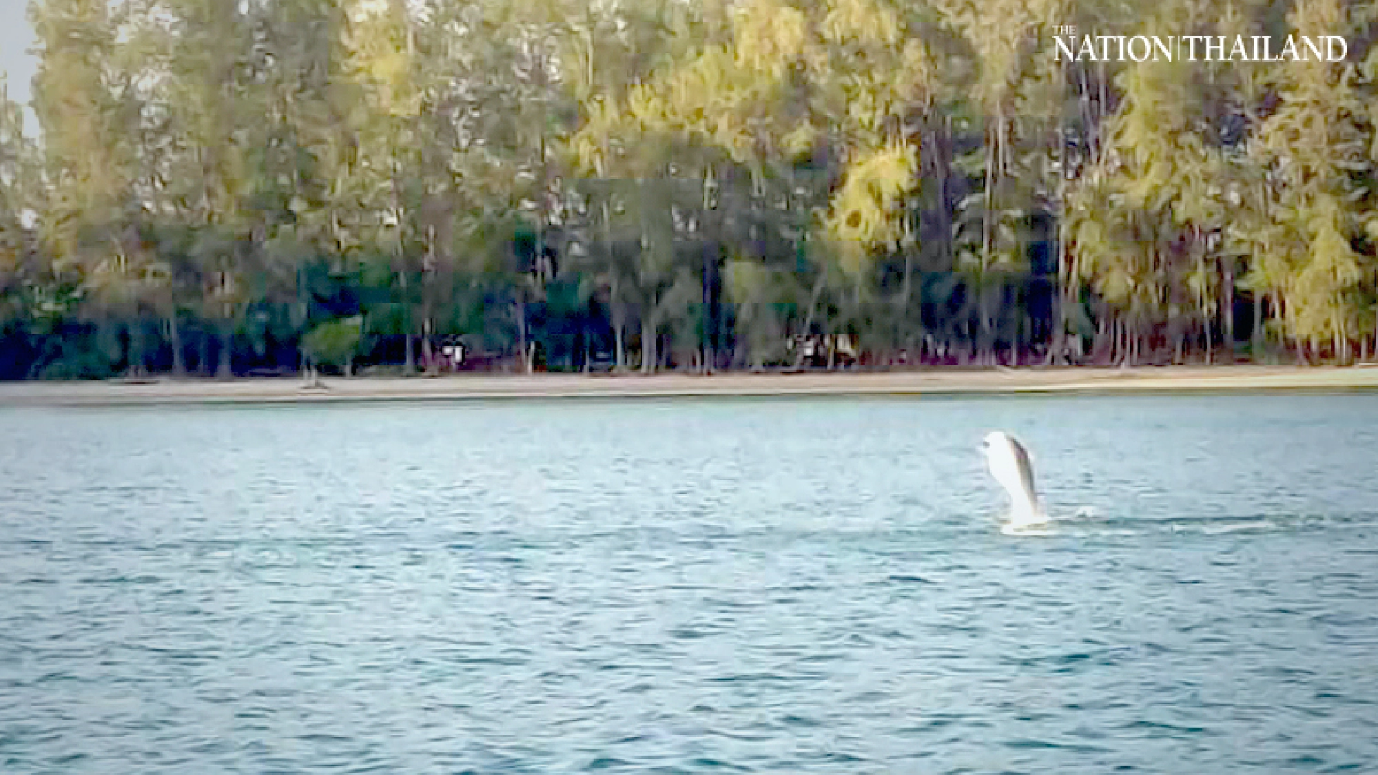 Photo credit: Department of National Parks, Wildlife and Plant Conservation 