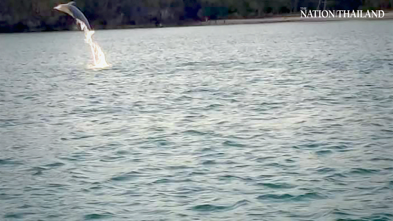 Photo credit: Department of National Parks, Wildlife and Plant Conservation 