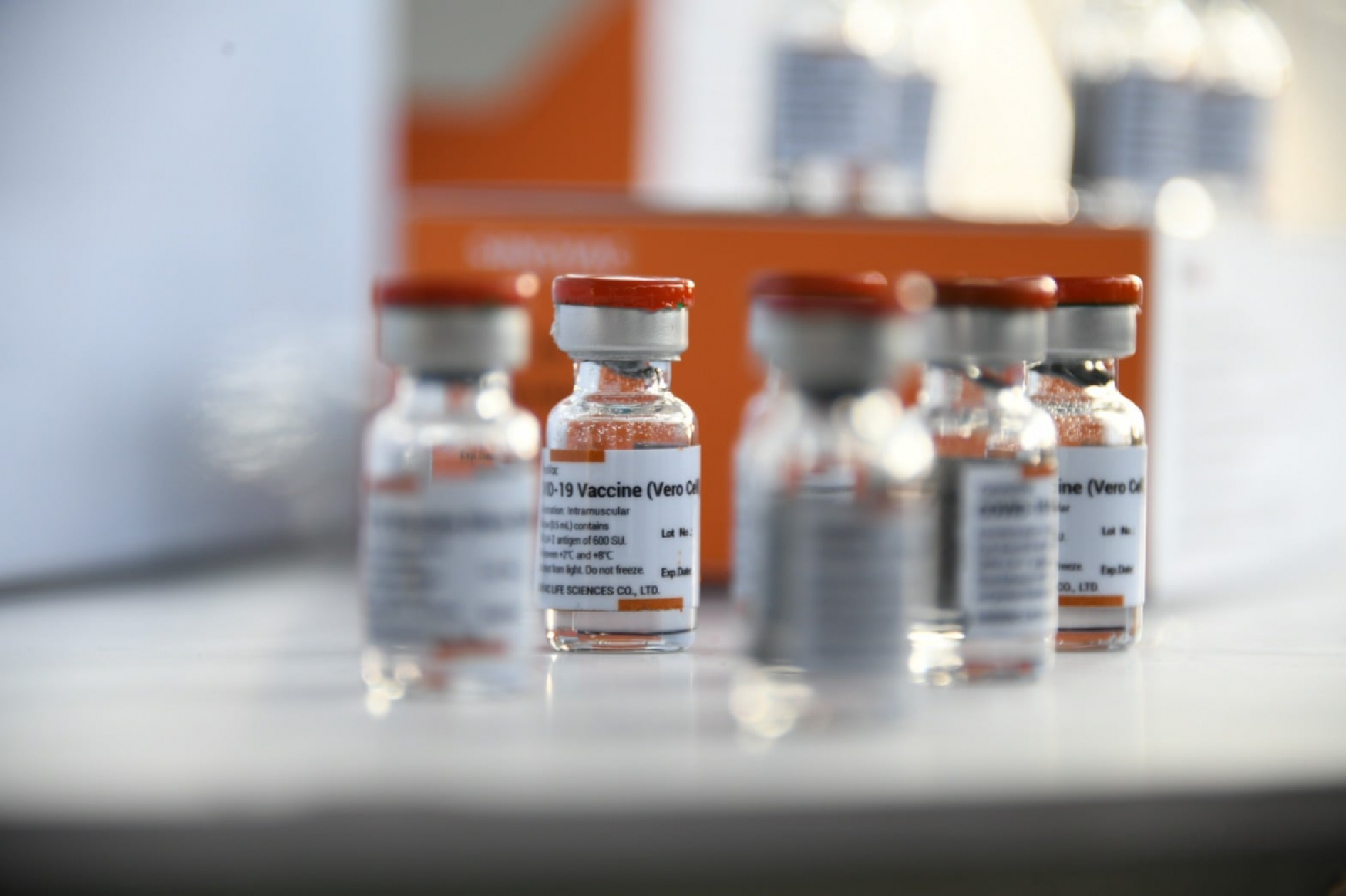 ‘Just a mock-up’: govt clarifies photo of PM holding vaccine bottle amid criticism