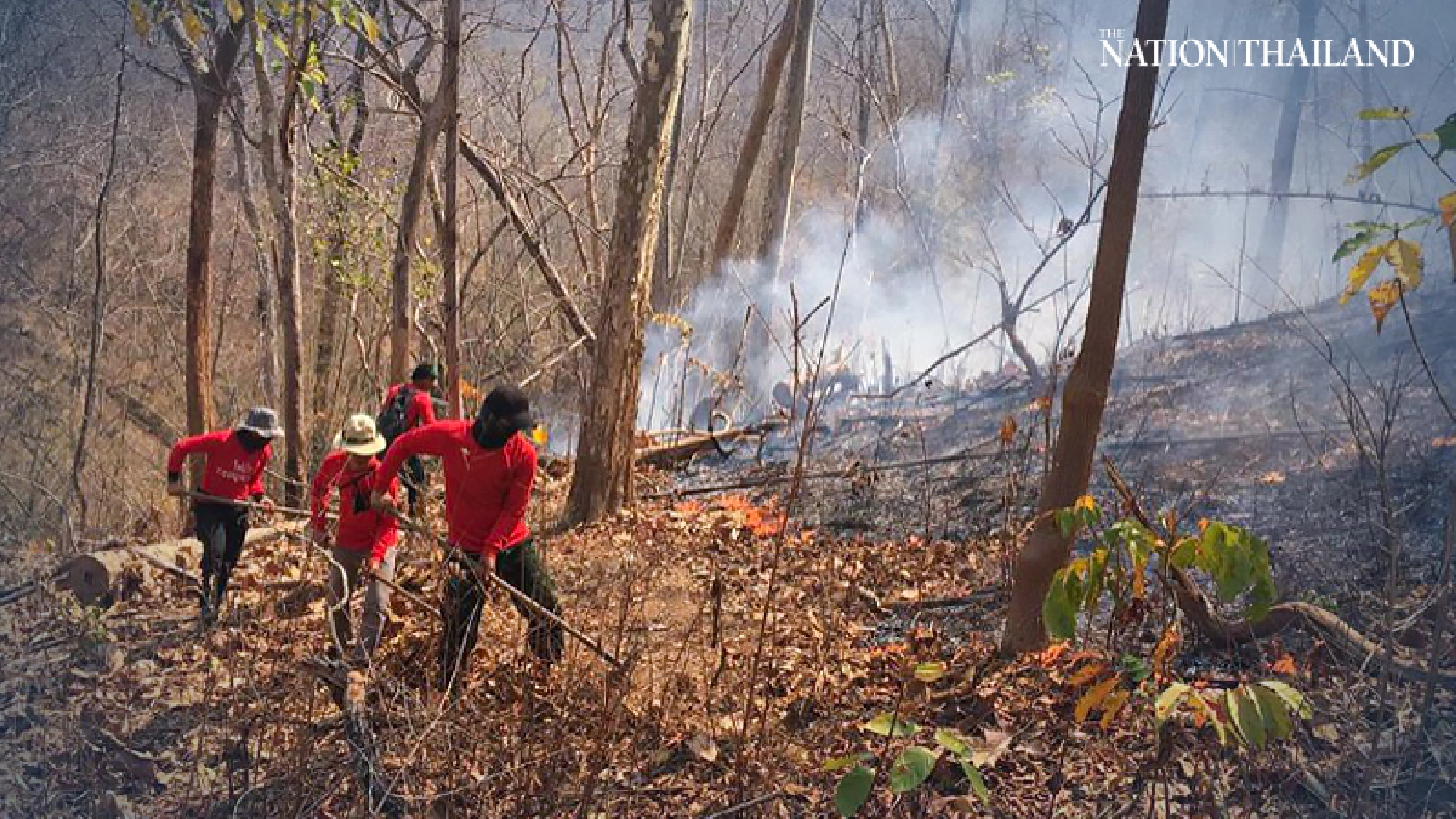 Forest fires erupt in Chiang Mai, Lamphun