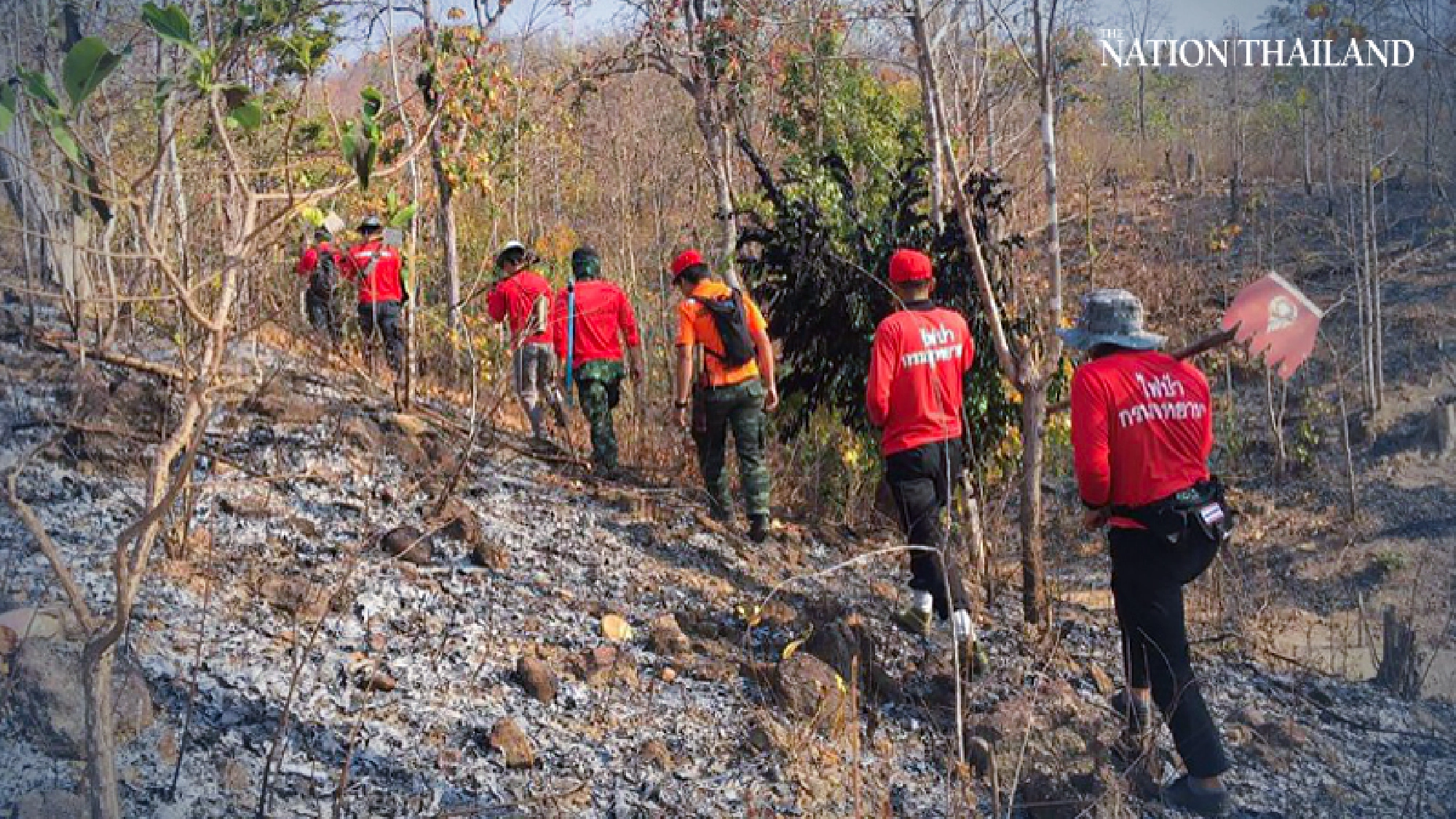 Forest fires erupt in Chiang Mai, Lamphun