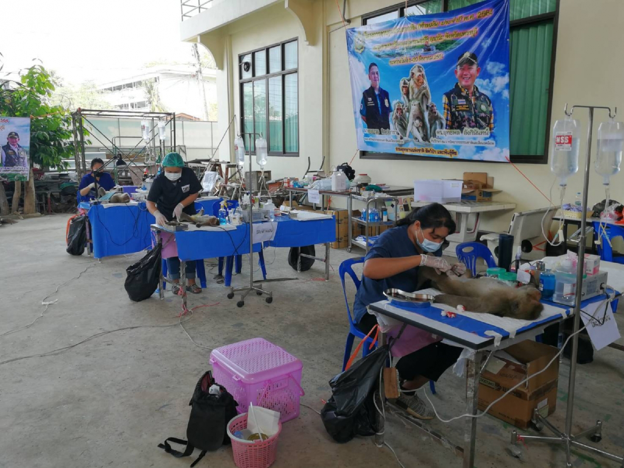 Photo: Facebook @DNP1362