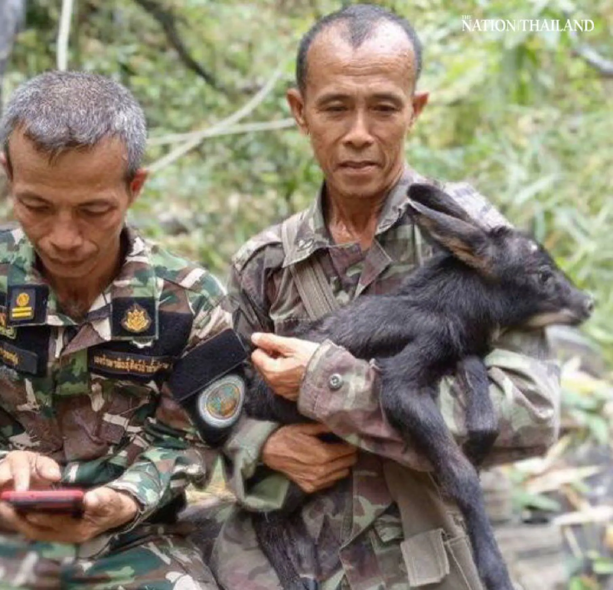 Milk of human kindness: singer-actor Saharat buys goat milk for rescued baby serow