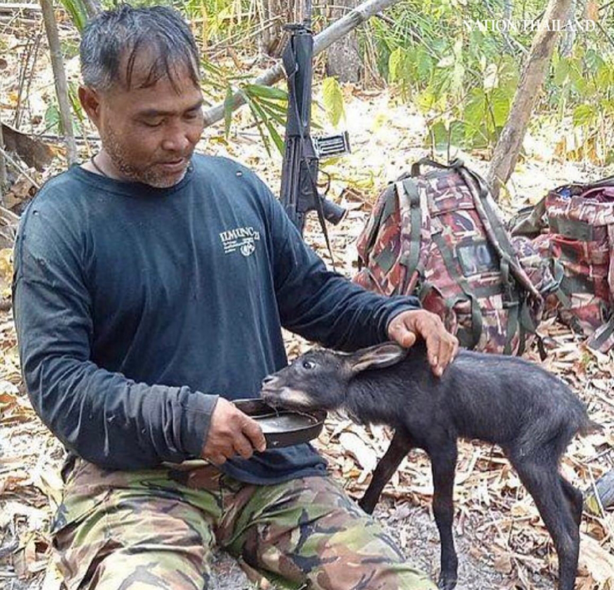 Milk of human kindness: singer-actor Saharat buys goat milk for rescued baby serow