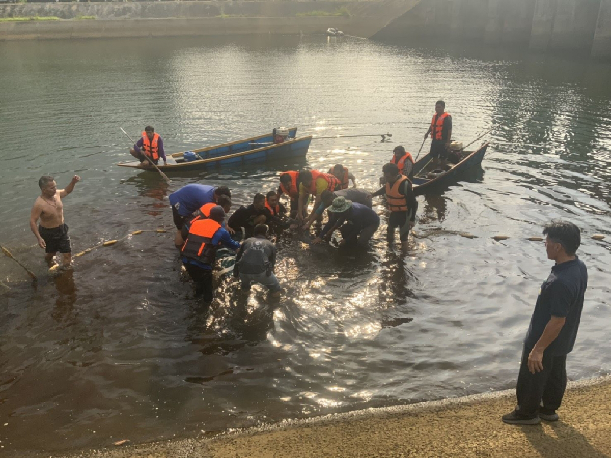 Bottlenose dolphin rescued from canal in Trat province