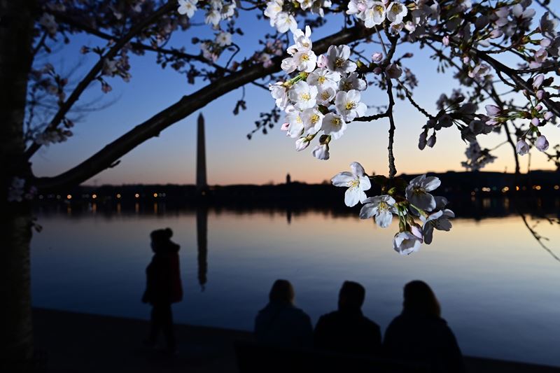 MUST CREDIT: Washington Post photo by Matt McClain