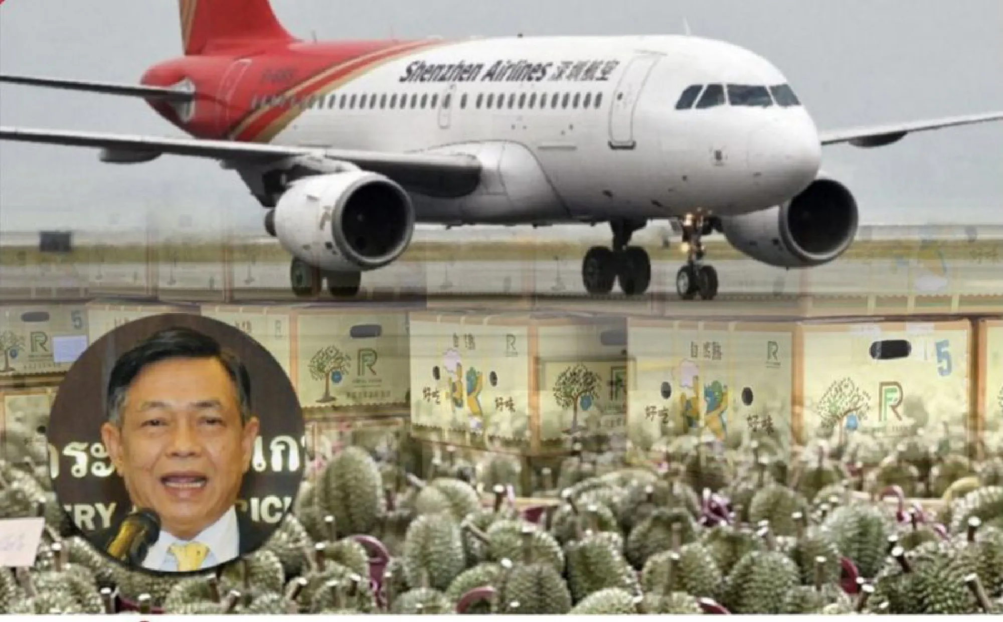 Chinese buyers snap up 20-tonne shipment of durian