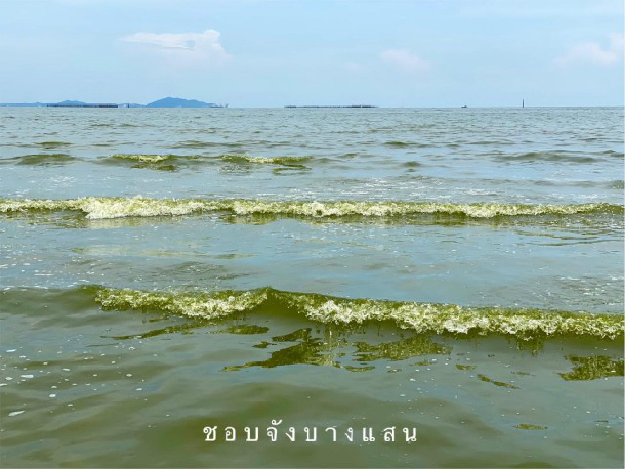 Green sea phenomenon off Bang Saen baffles observers