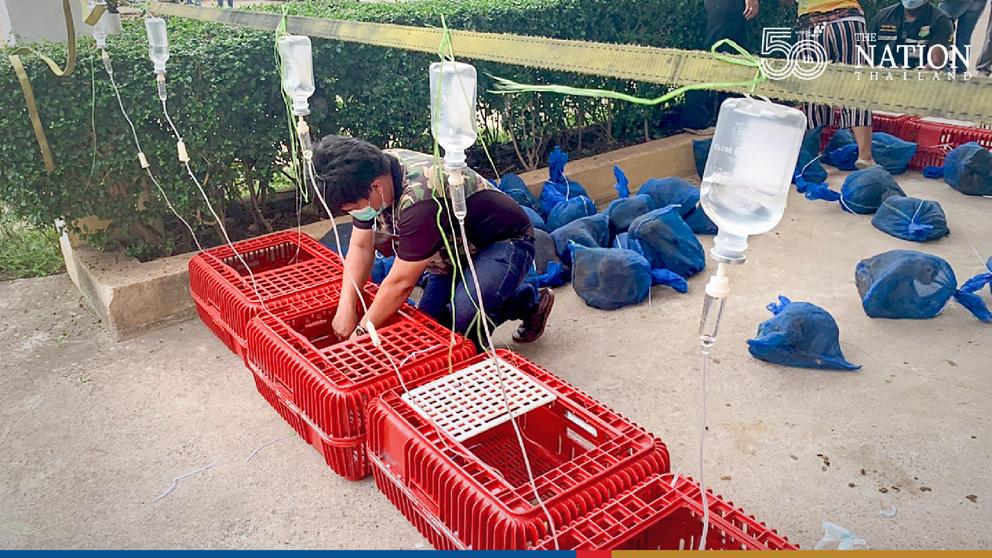 Man arrested for allegedly smuggling over 100 wild monkeys