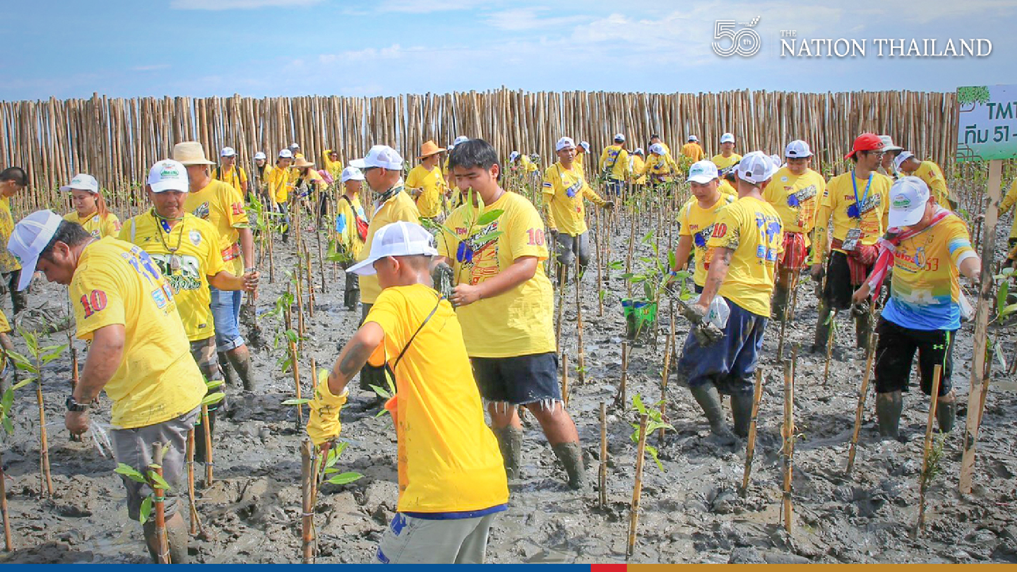 Quiet celebration to mark successes on National Mangrove Day